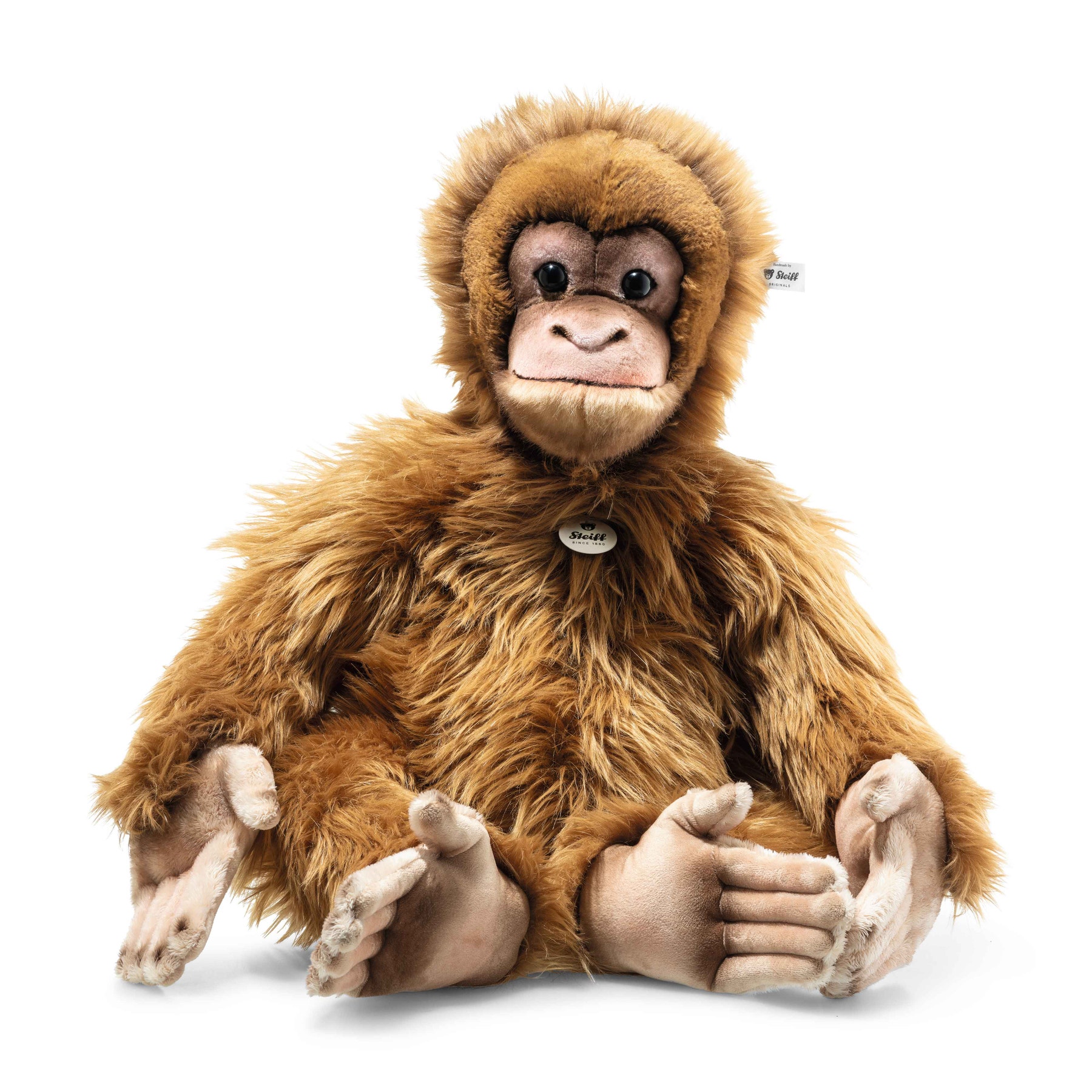 Alena orang-utan