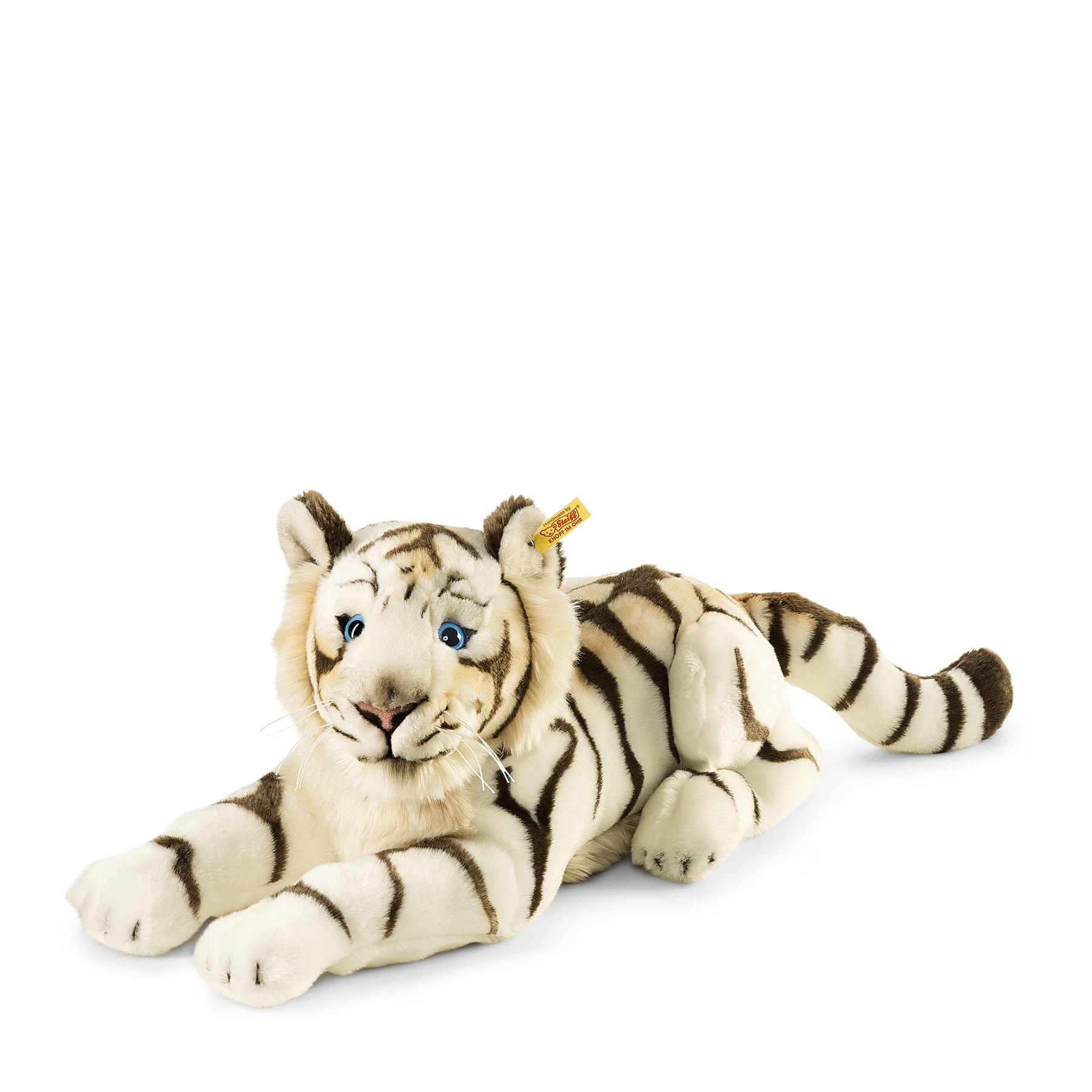 Bharat, the white tiger