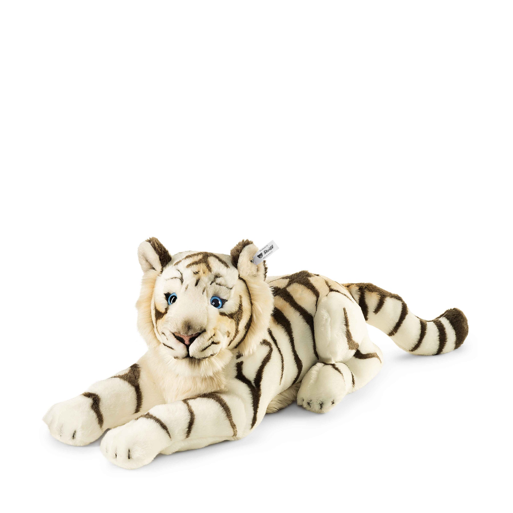Bharat, the white tiger