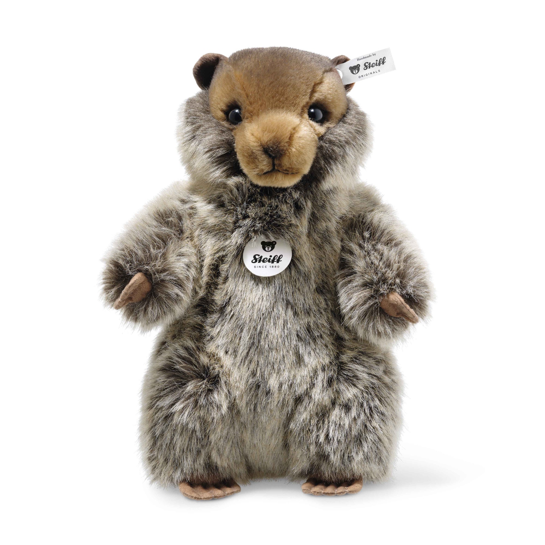 Marmotte Burri