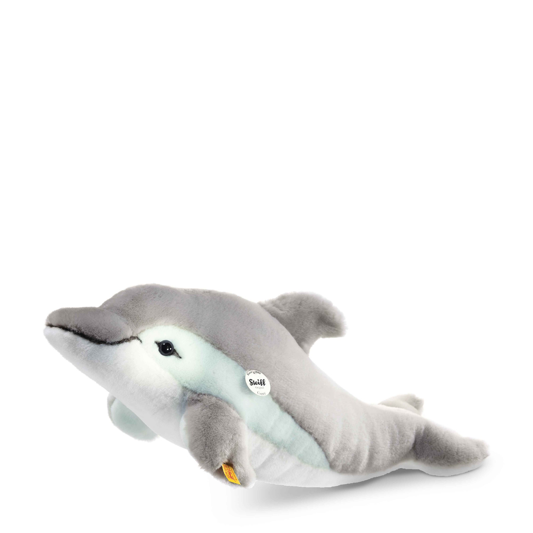 Cappy Delphin