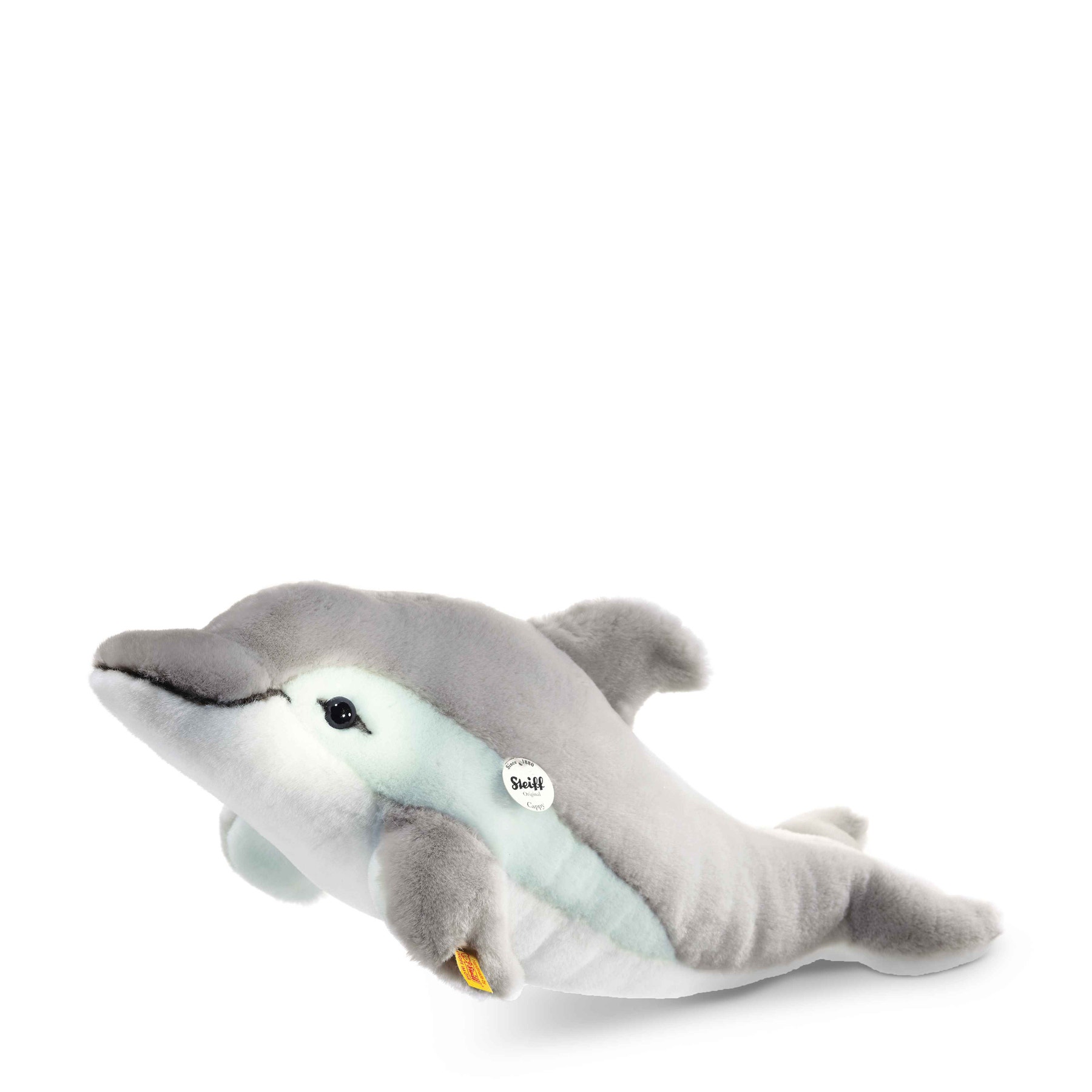 Cappy dolphin