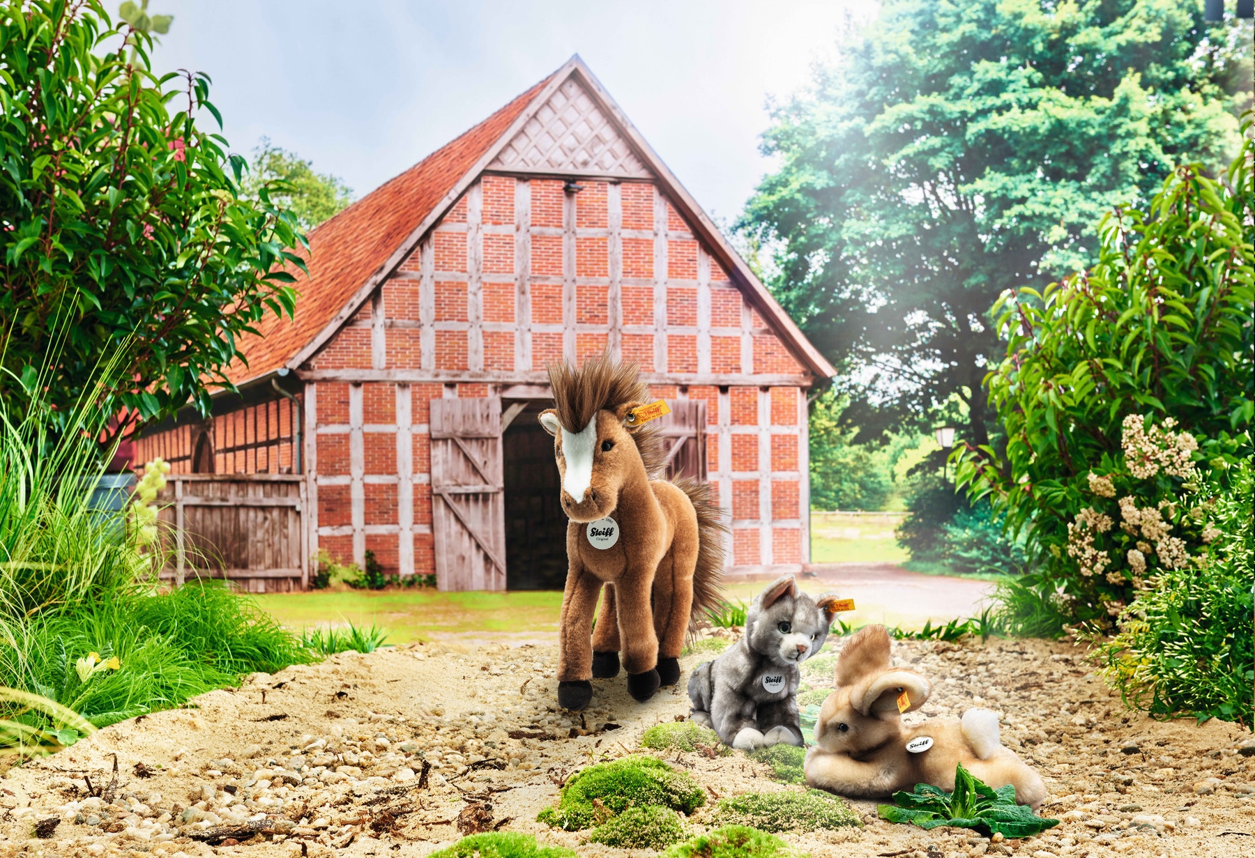 Cheval Chayenne