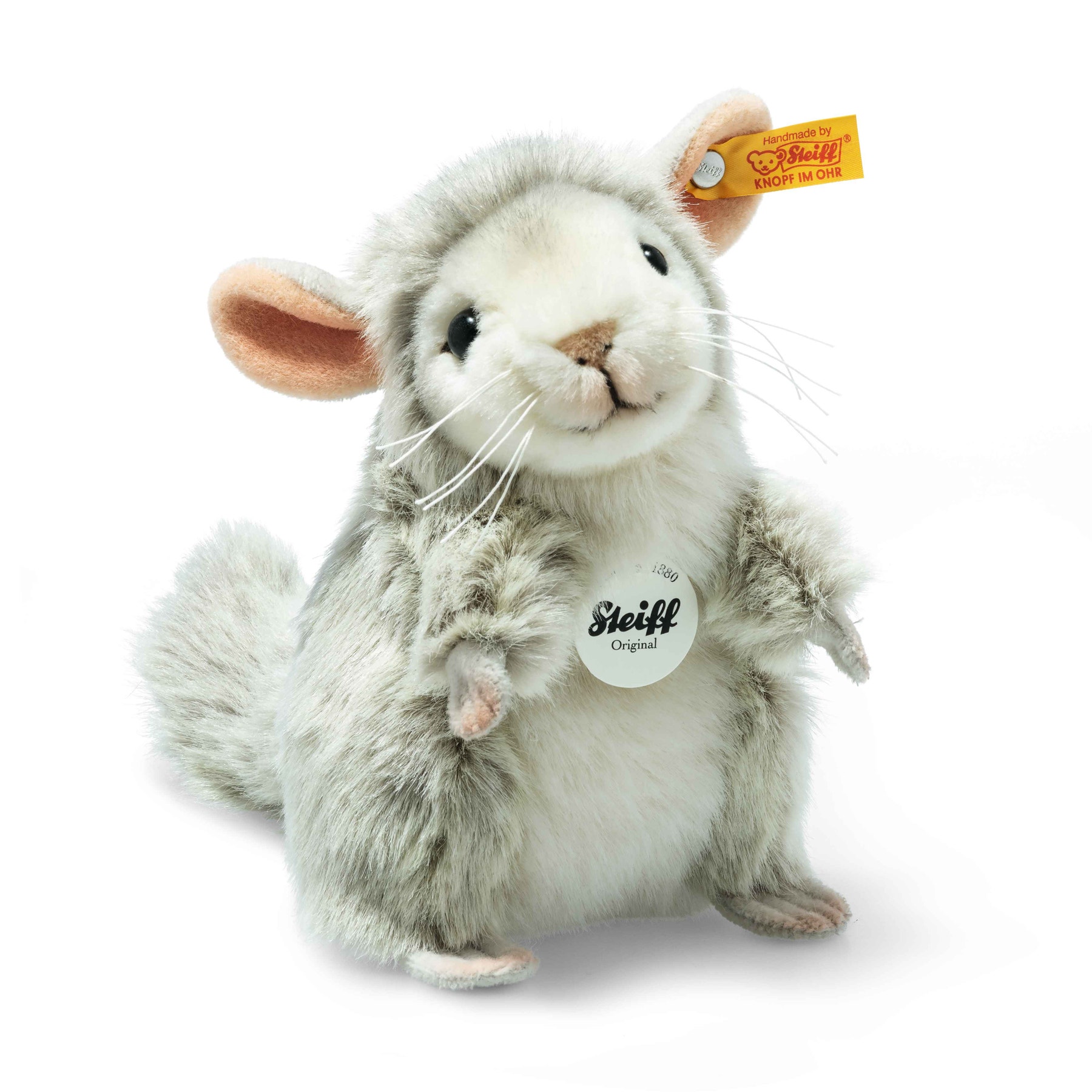 Chinchilla teddy best sale