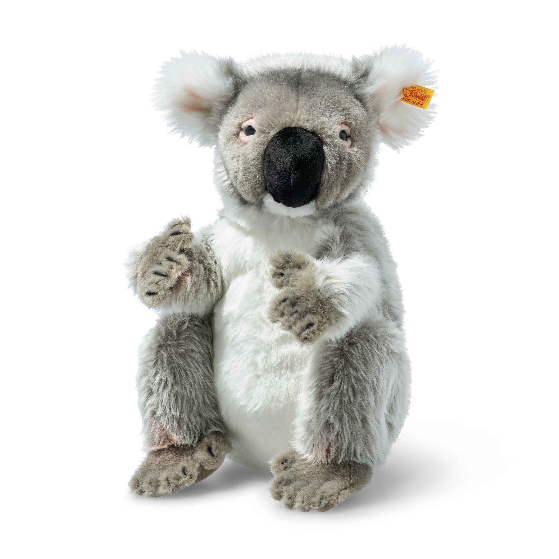 Colo Koala