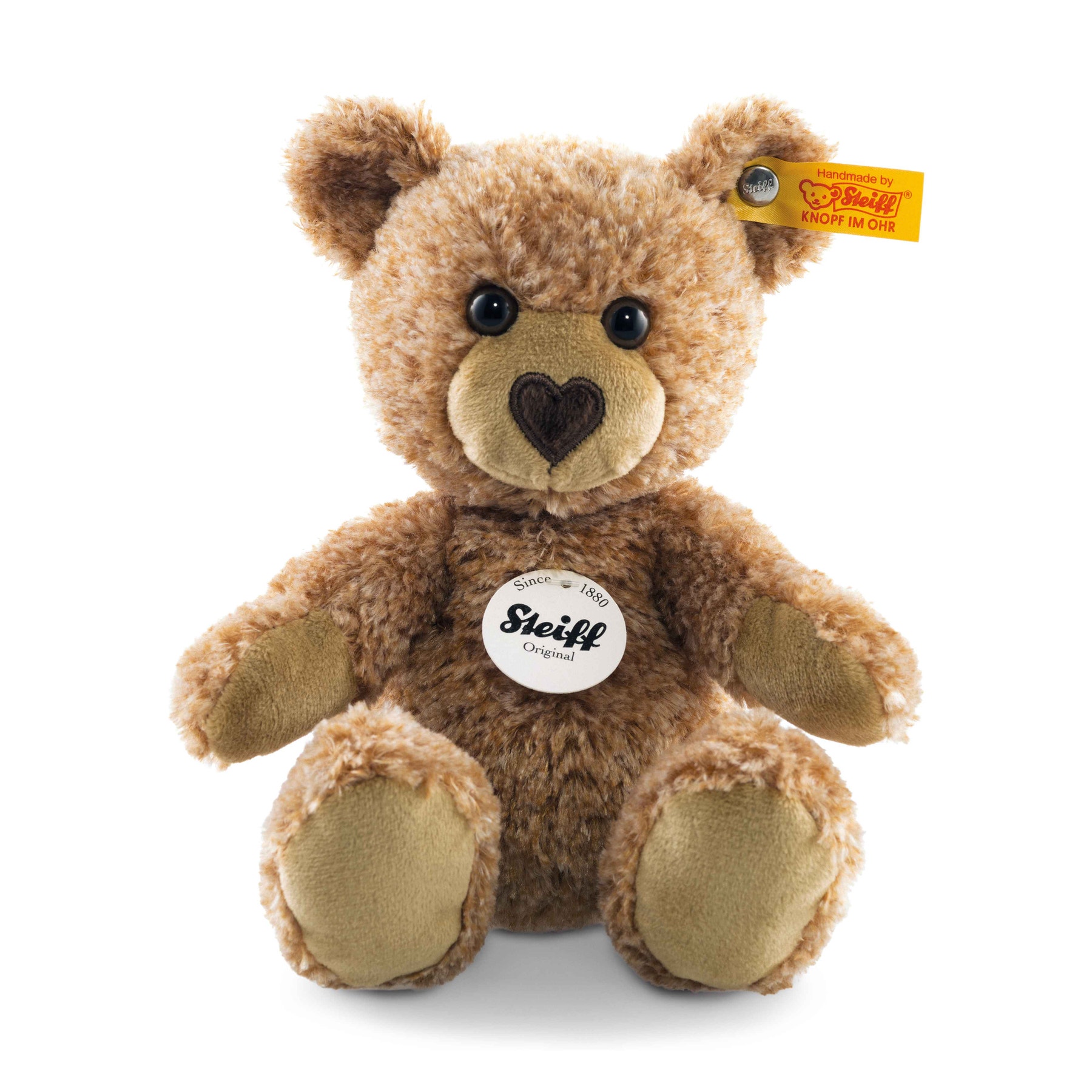 Cosy Teddy bear