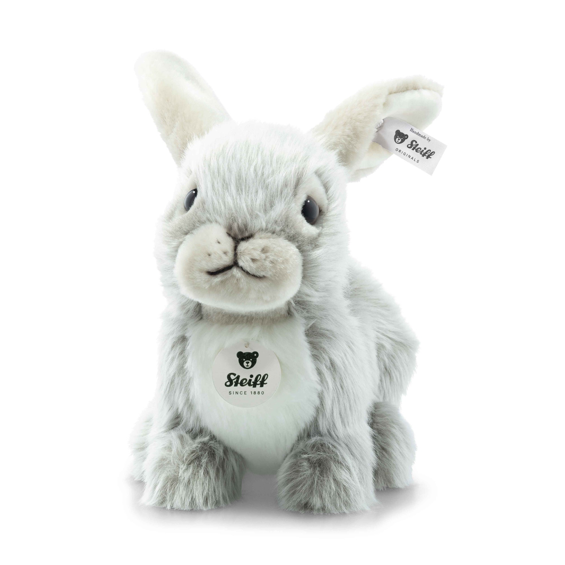 Lapin Dormili