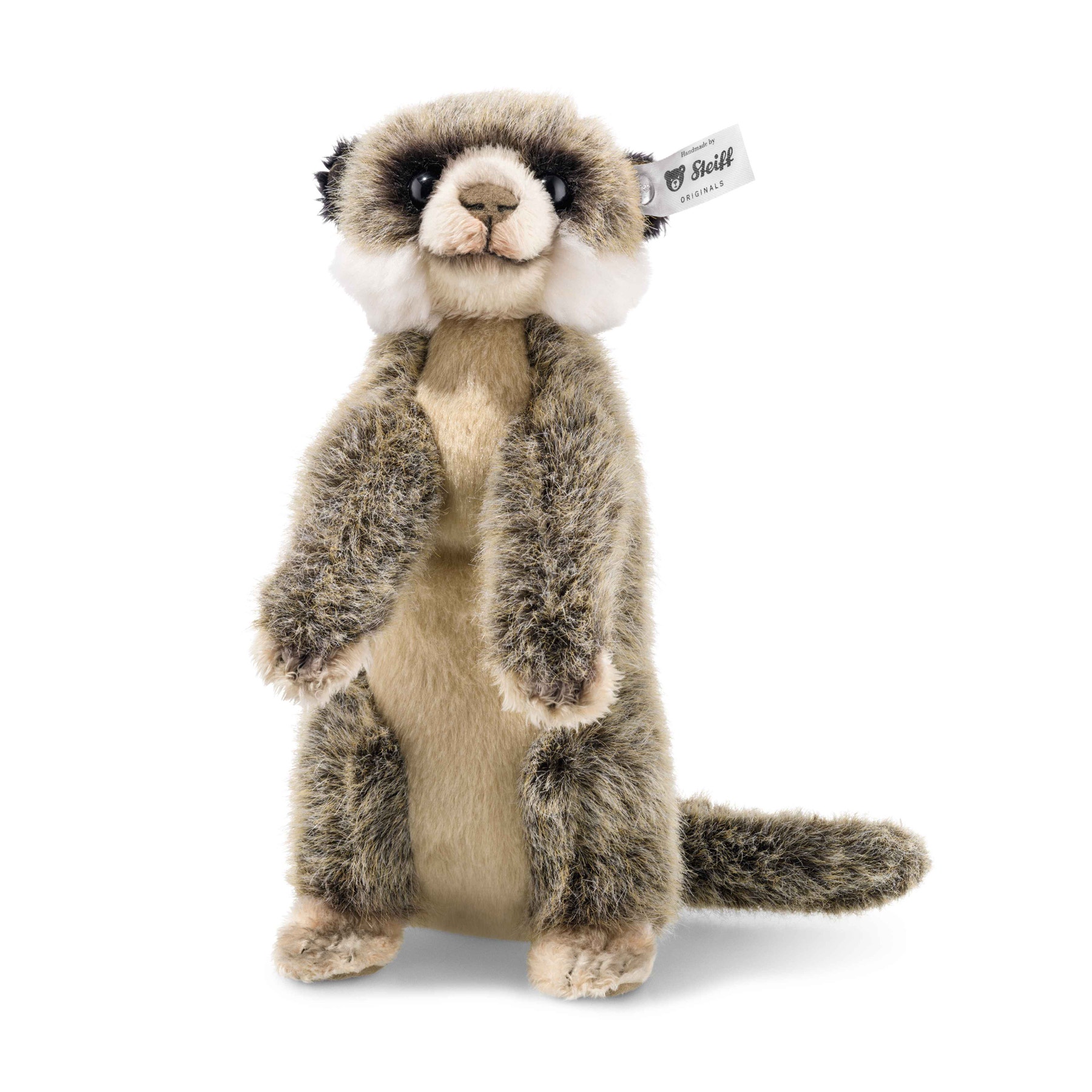 Meerkat Baby