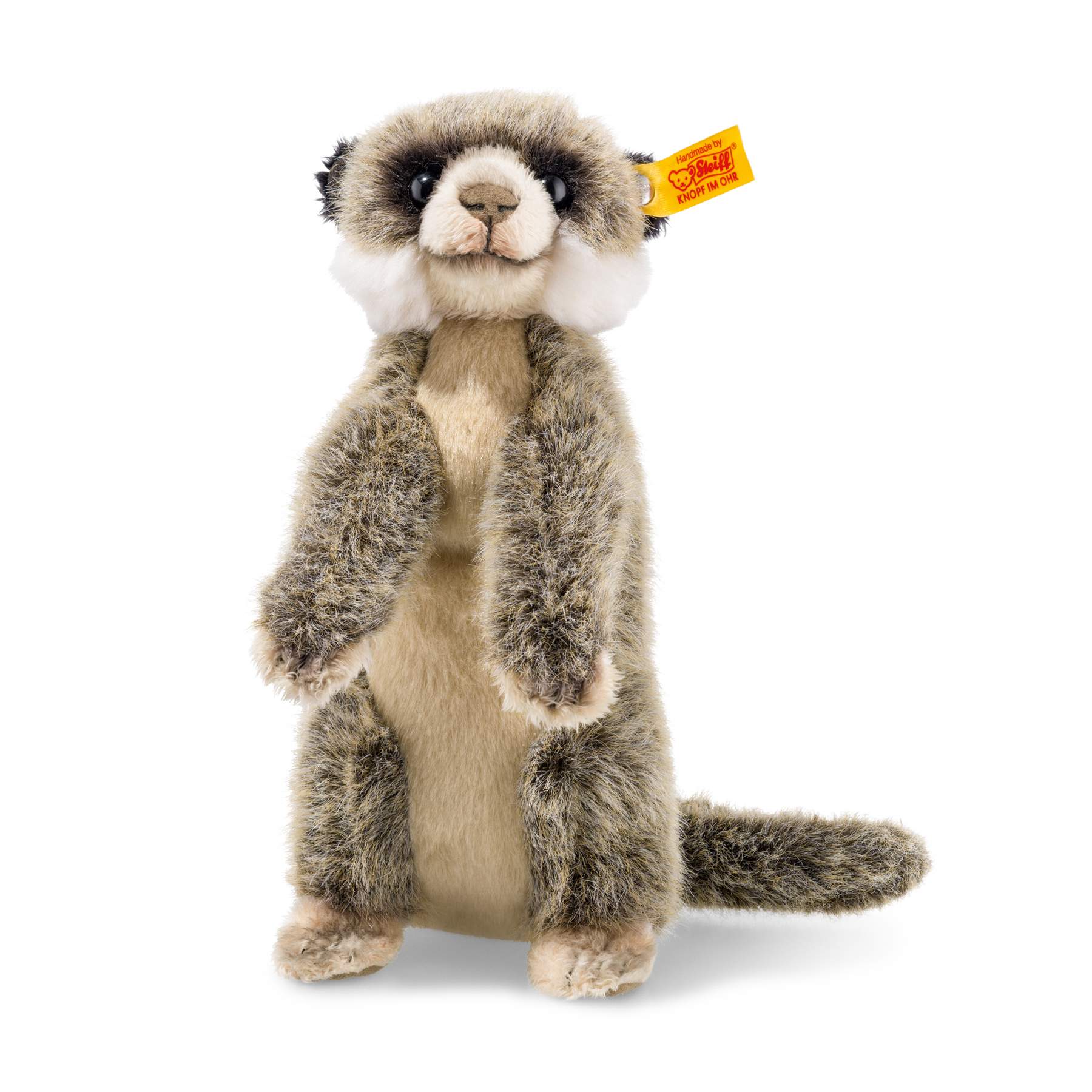 Meerkat Baby