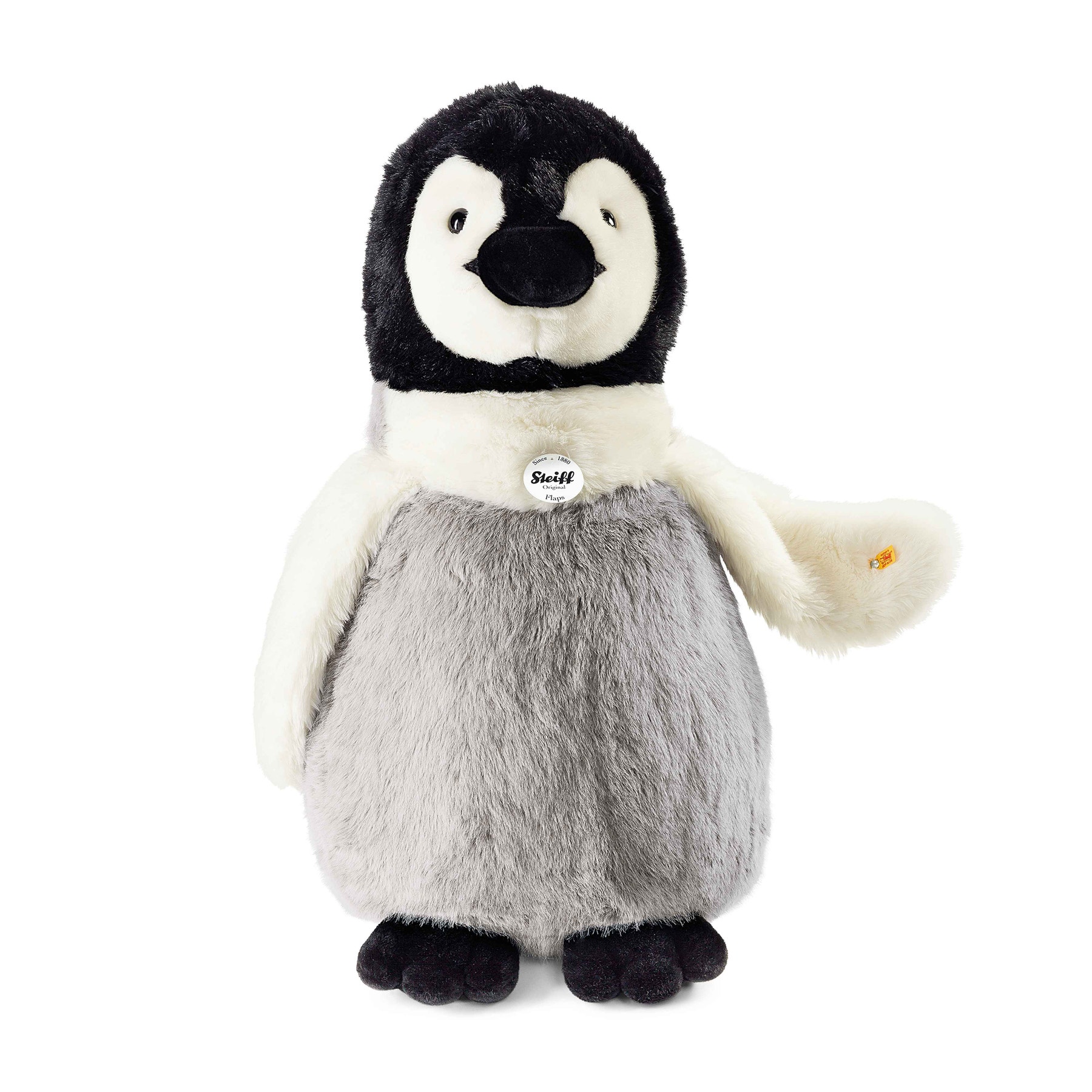 Flaps penguin