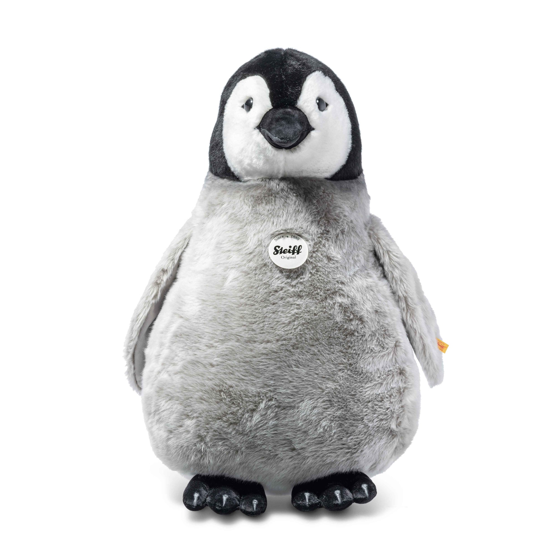 Pingouin Flaps