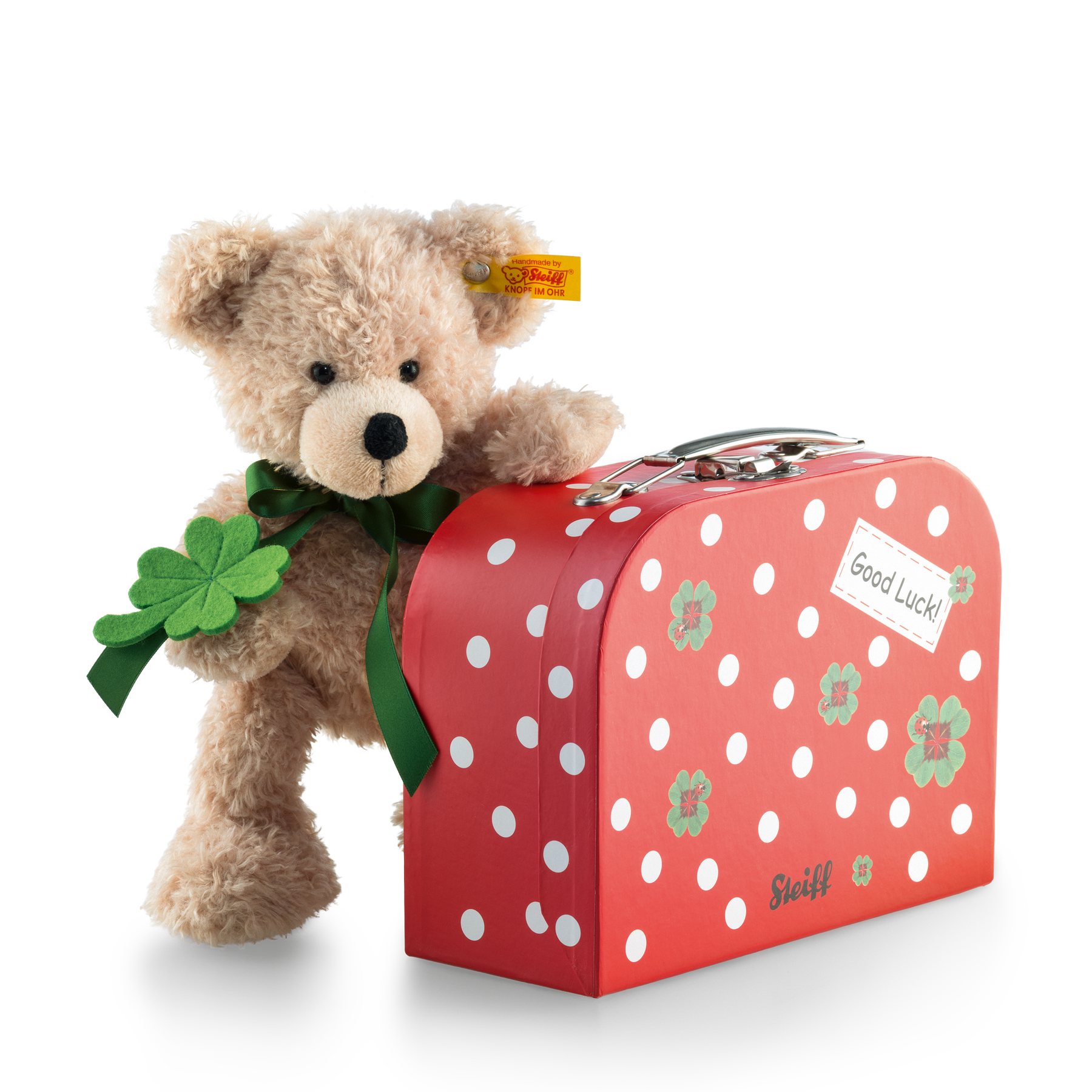 Fynn Teddy bear in suitcase