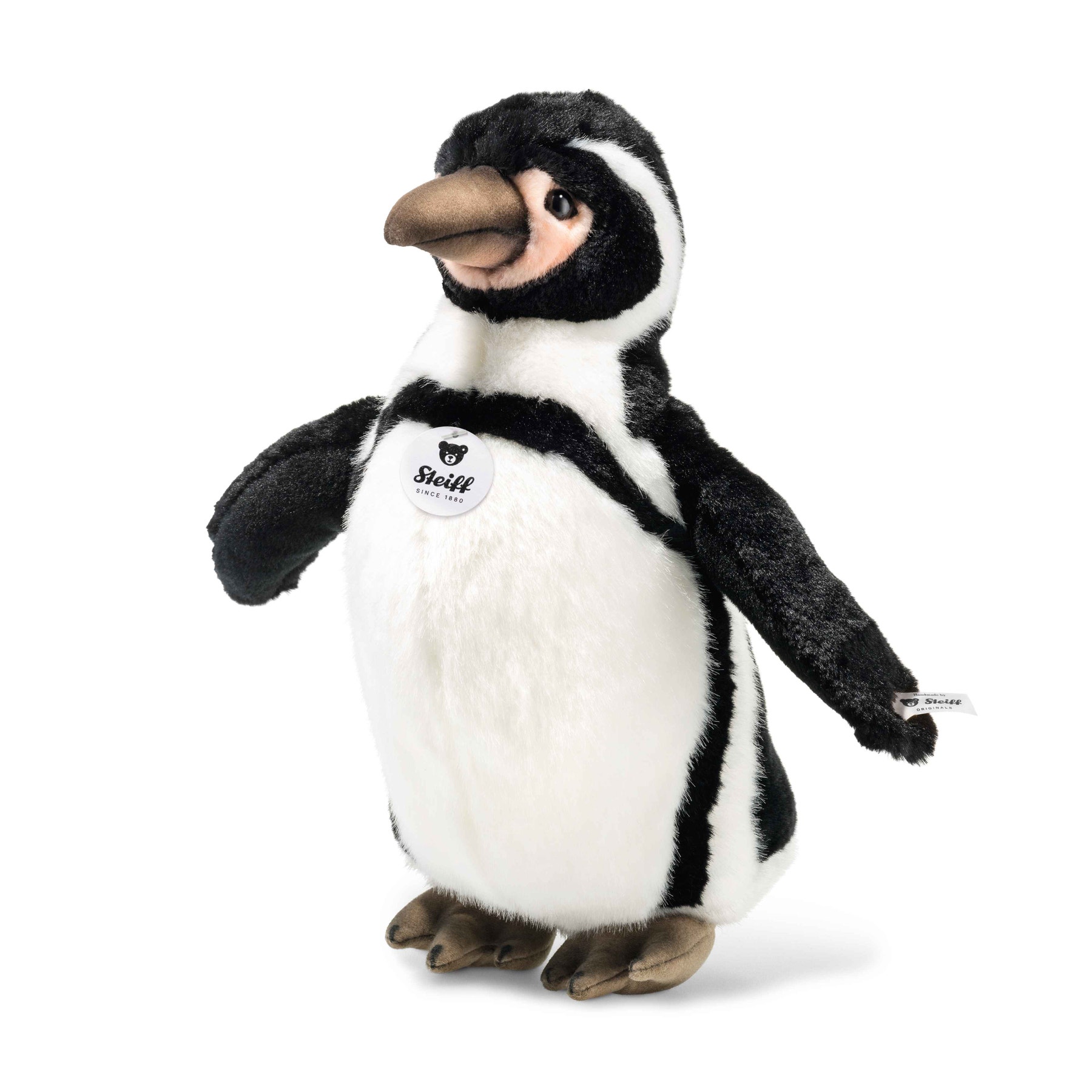 Hummi Humboldt penguin