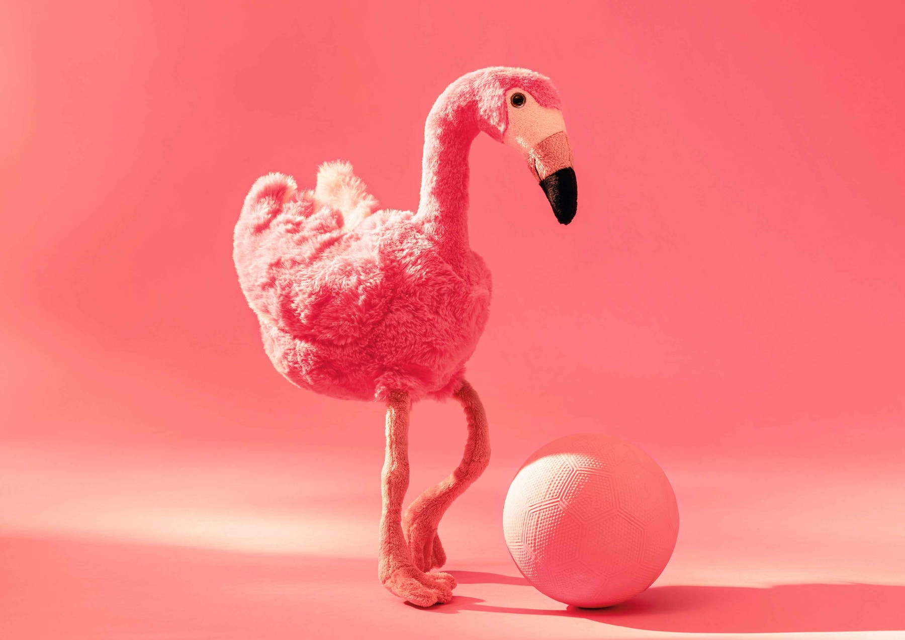 jill flamingo 063992 1