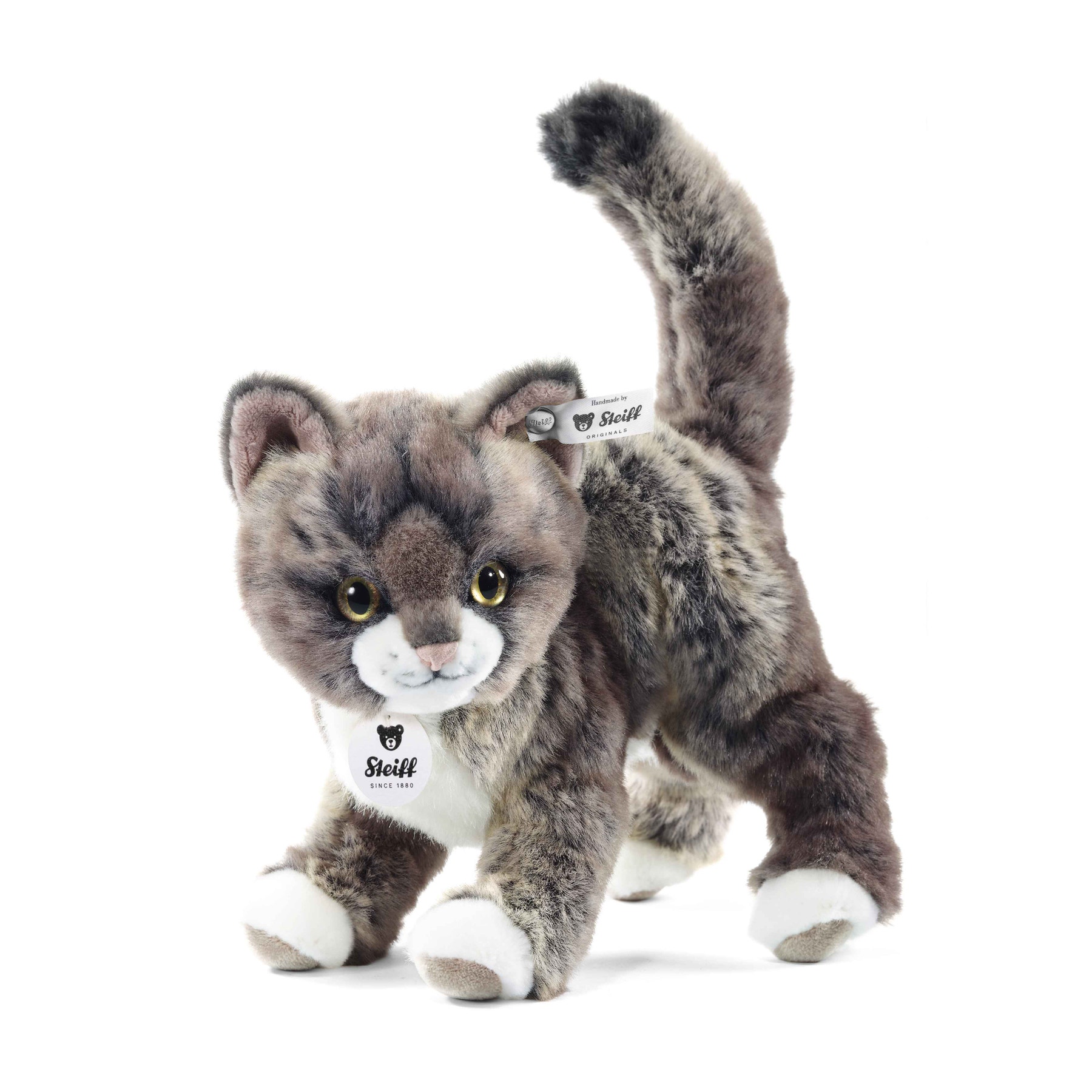 Kitty Katze