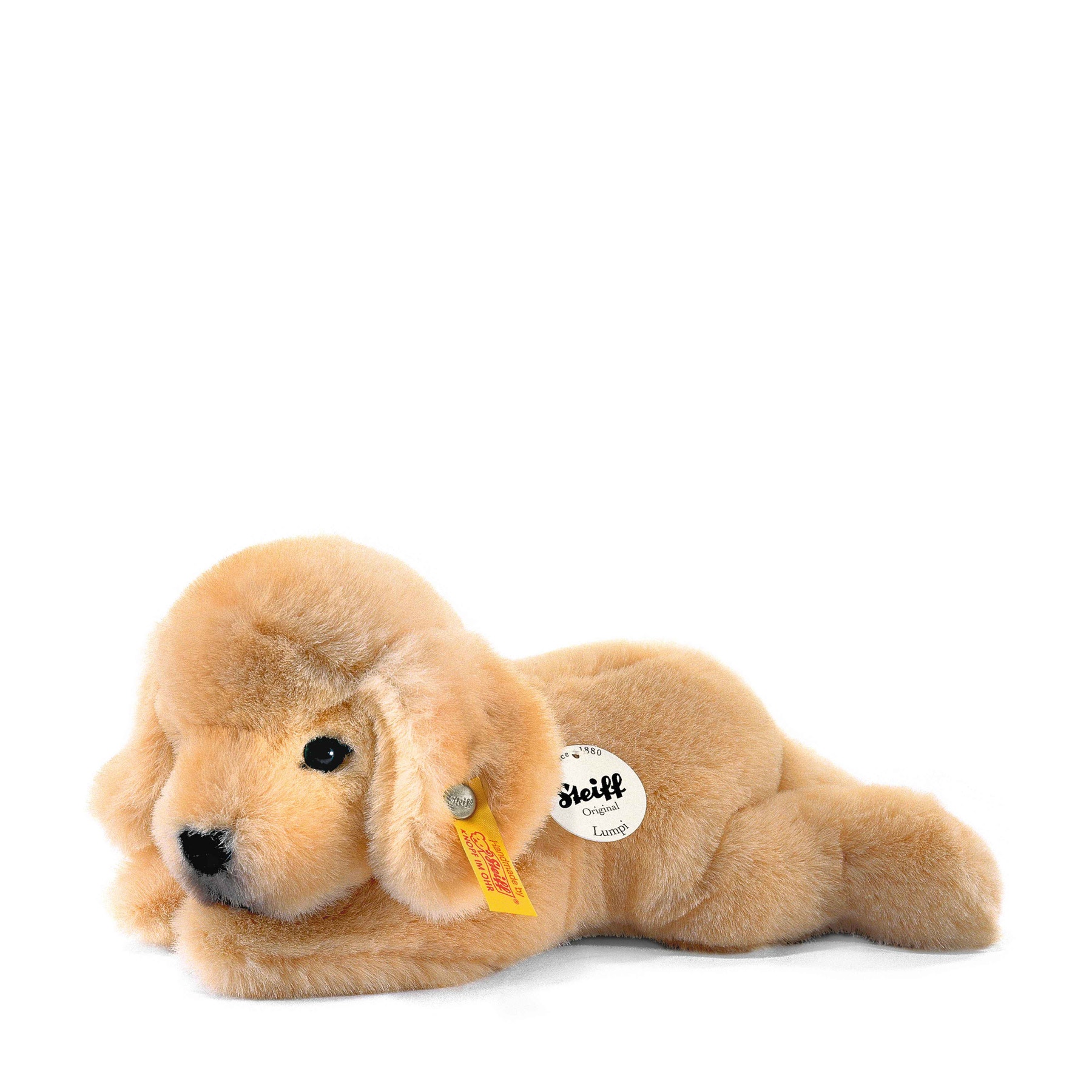 Little friend Lumpi Golden Retriever puppy