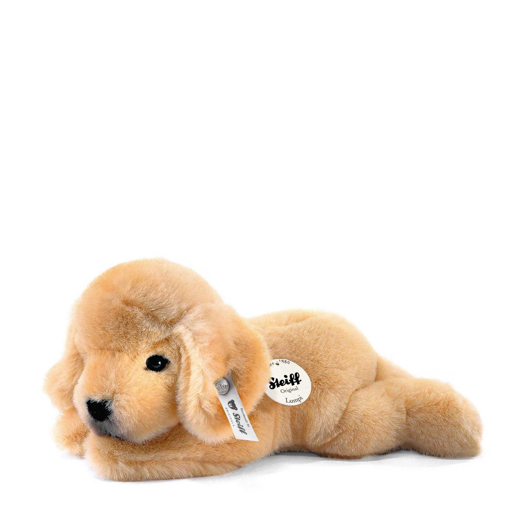 Petit ami Golden Retriever chiot Lumpi
