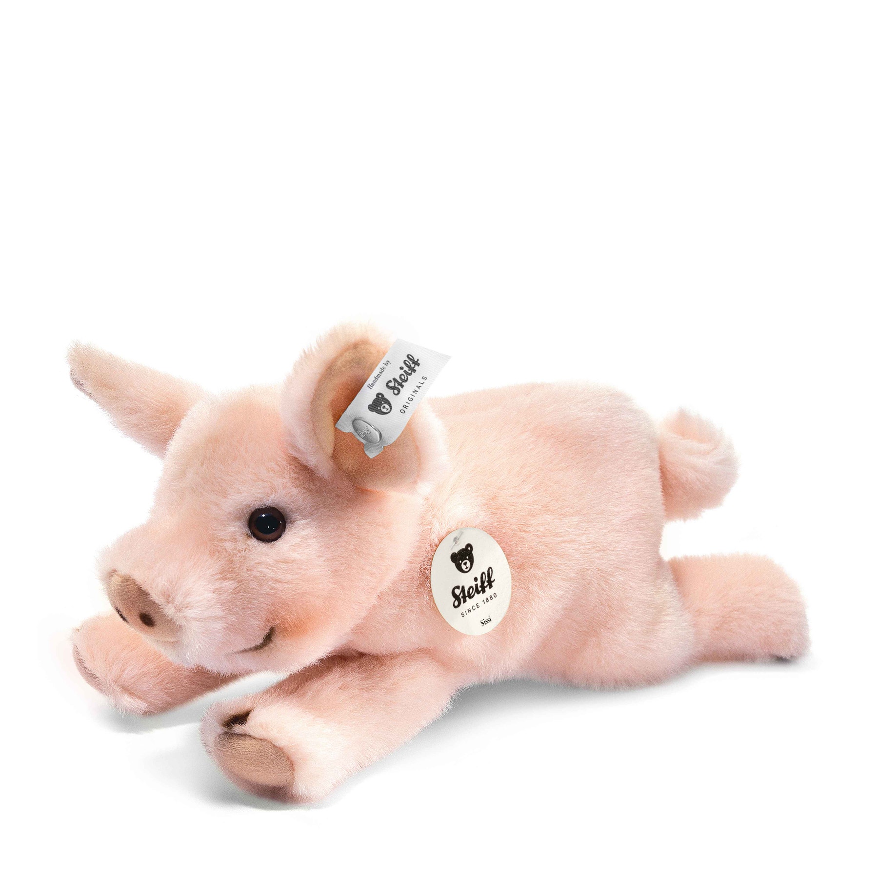 Little friend Sissi piglet