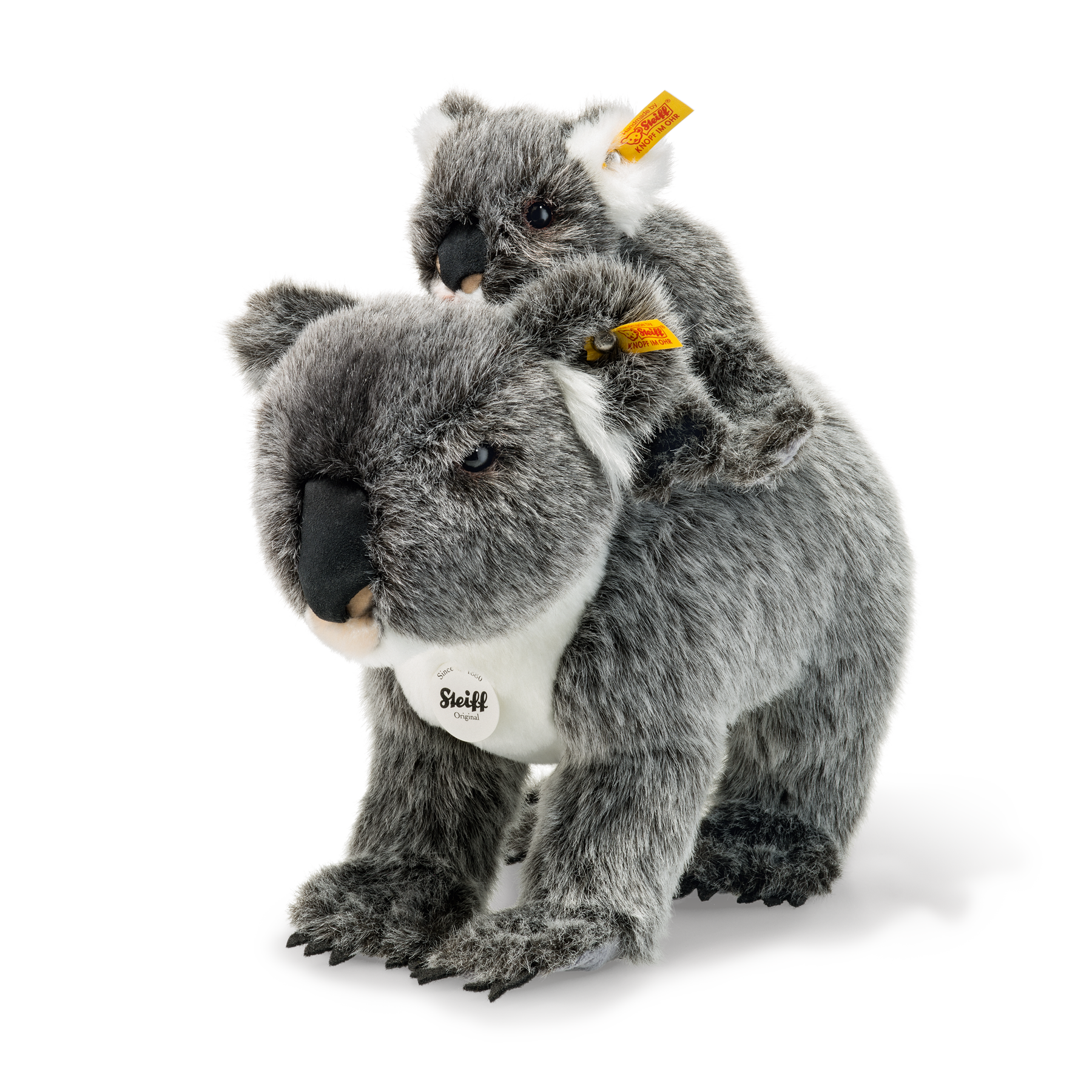 Koala avec Bébé