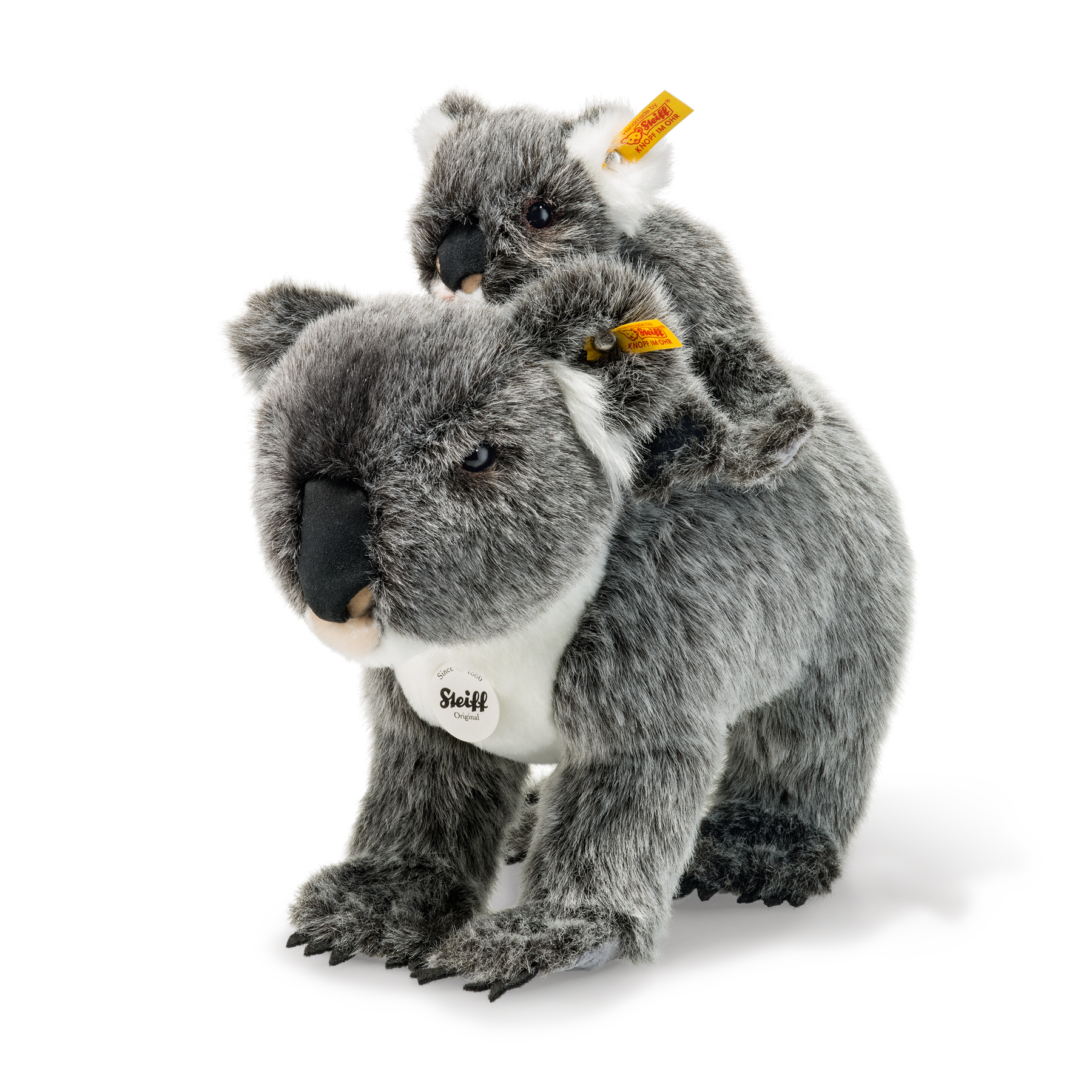 Koala mit Baby