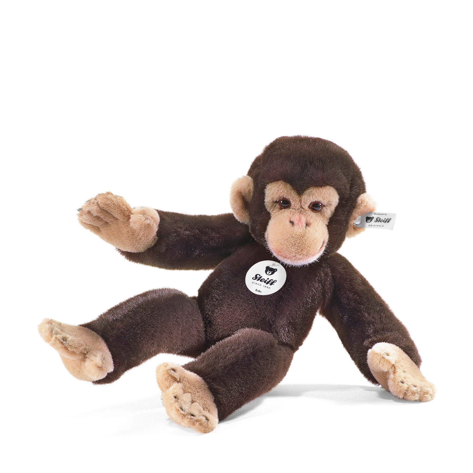 Chimpanzé Koko