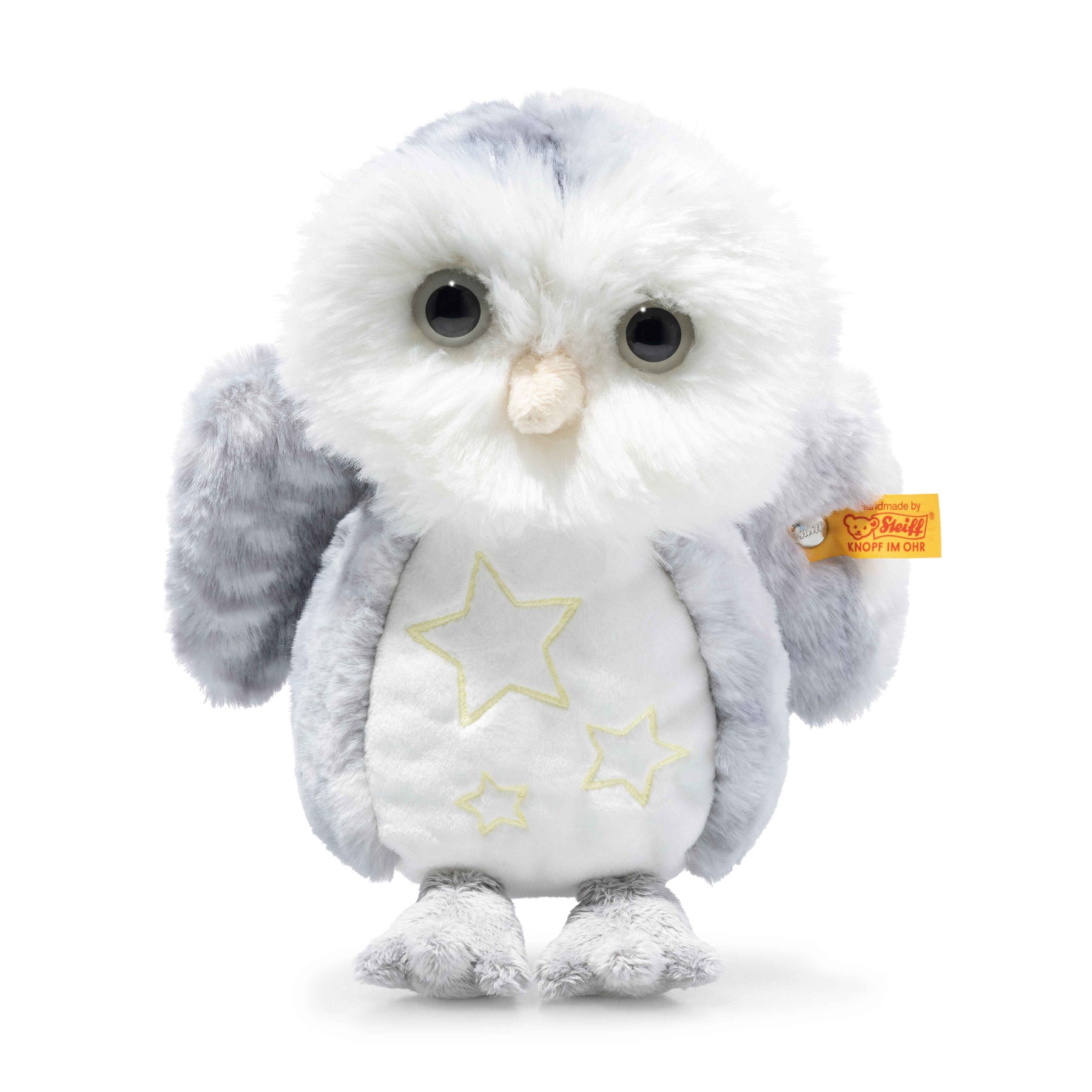 Light at Night Wittie owl