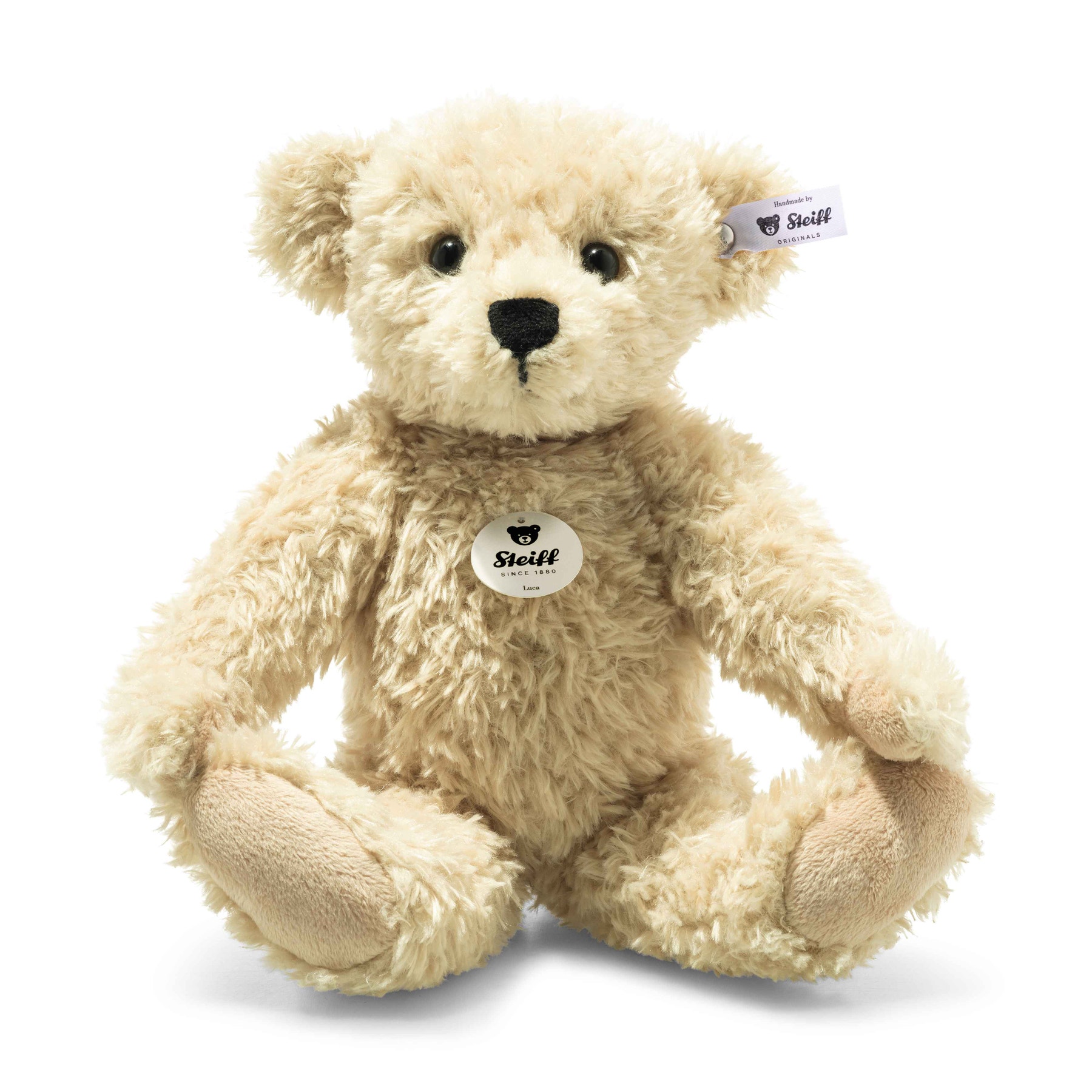 Ours Teddy Luca