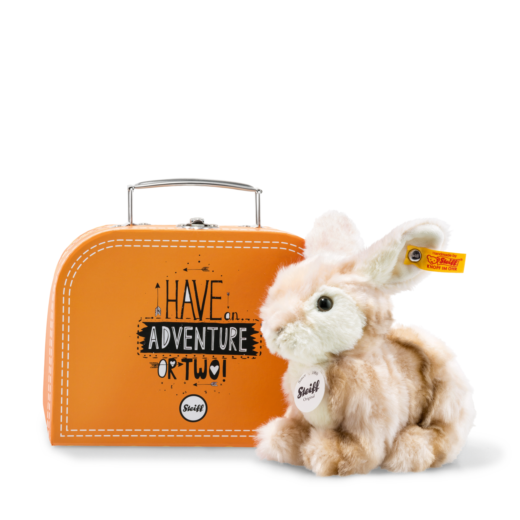 Melly rabbit in suitcase