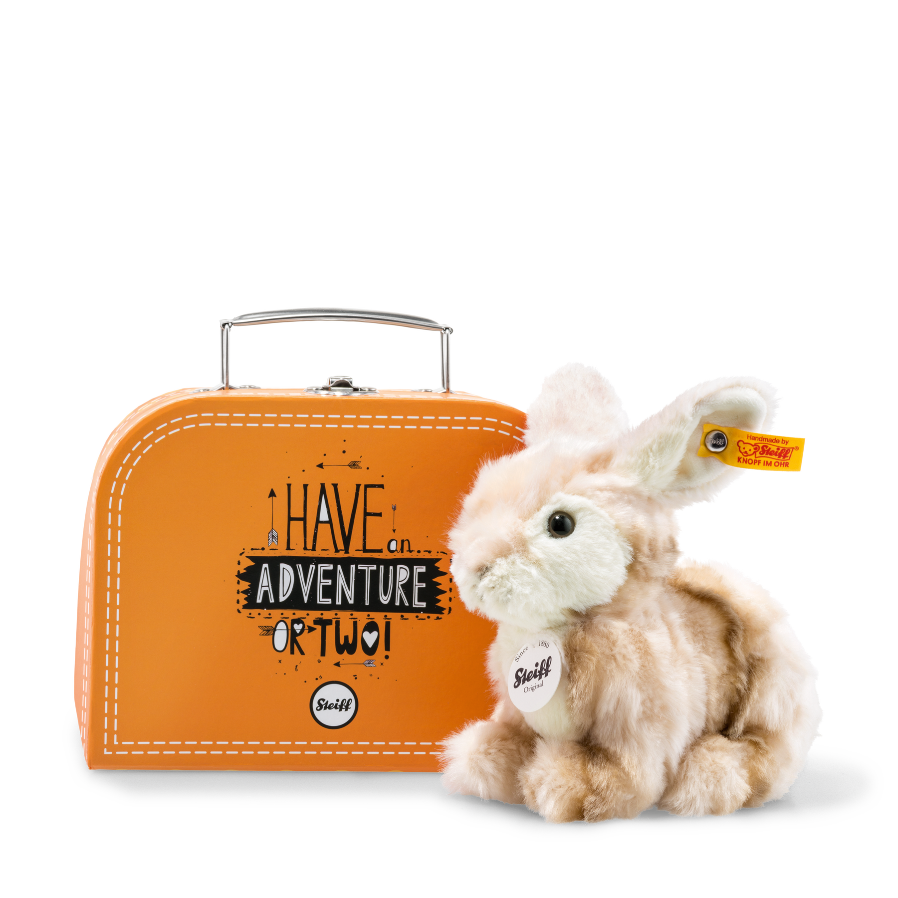 Lapin Melly dans sa valise