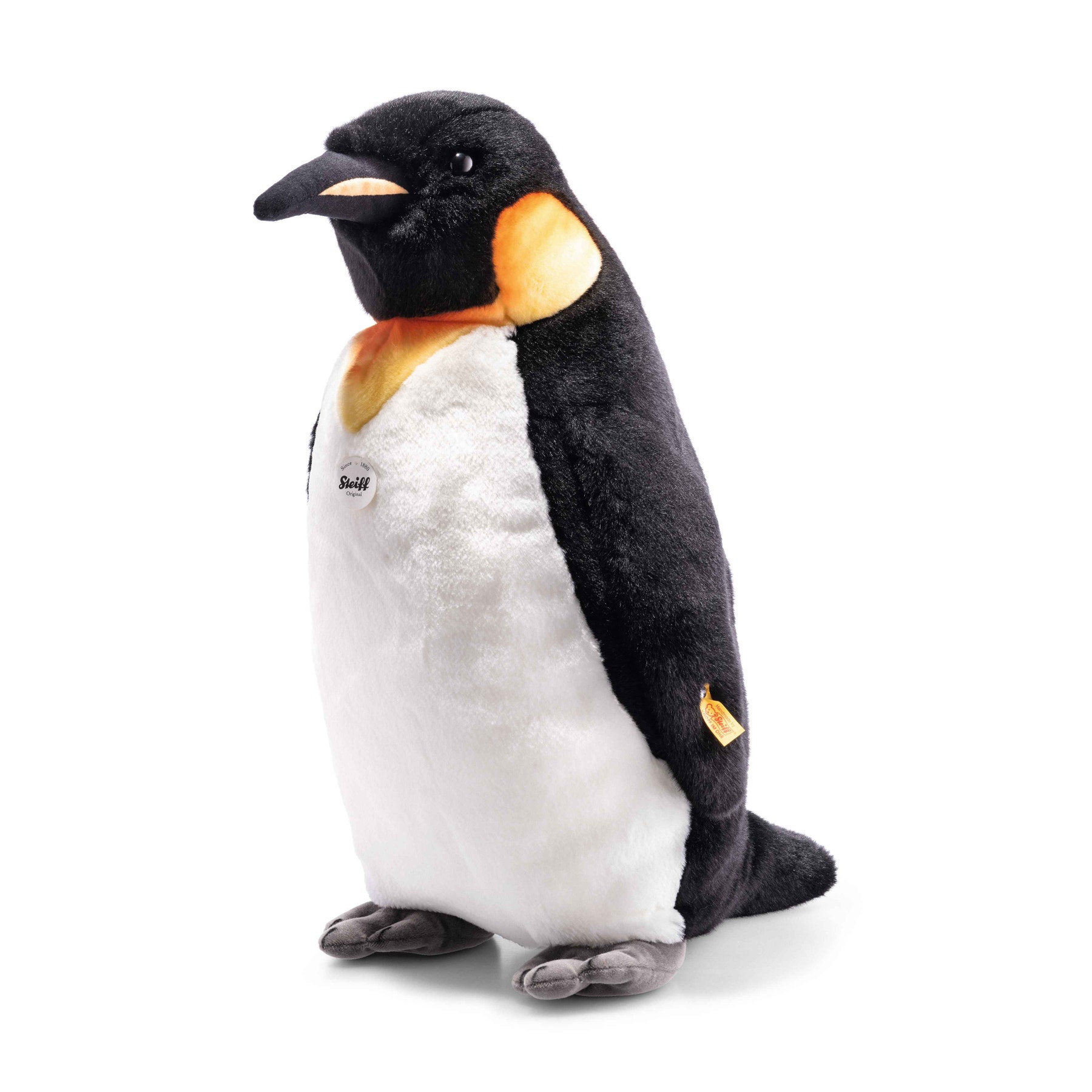Palle king penguin