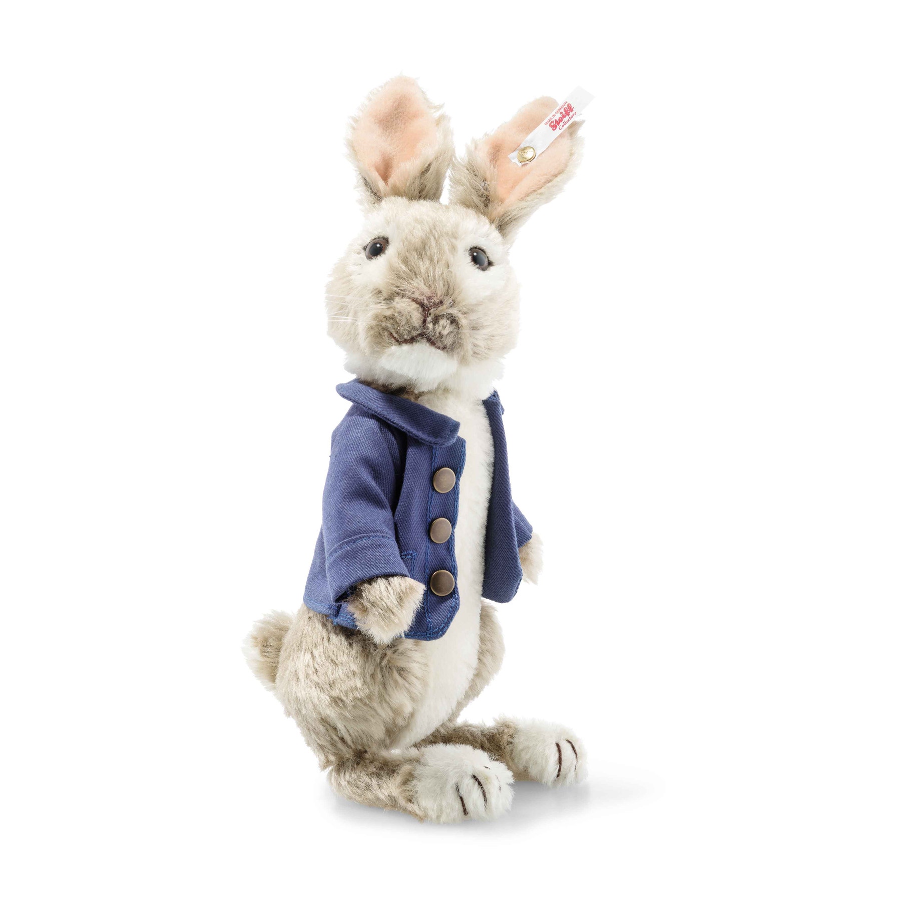 Pierre Lapin