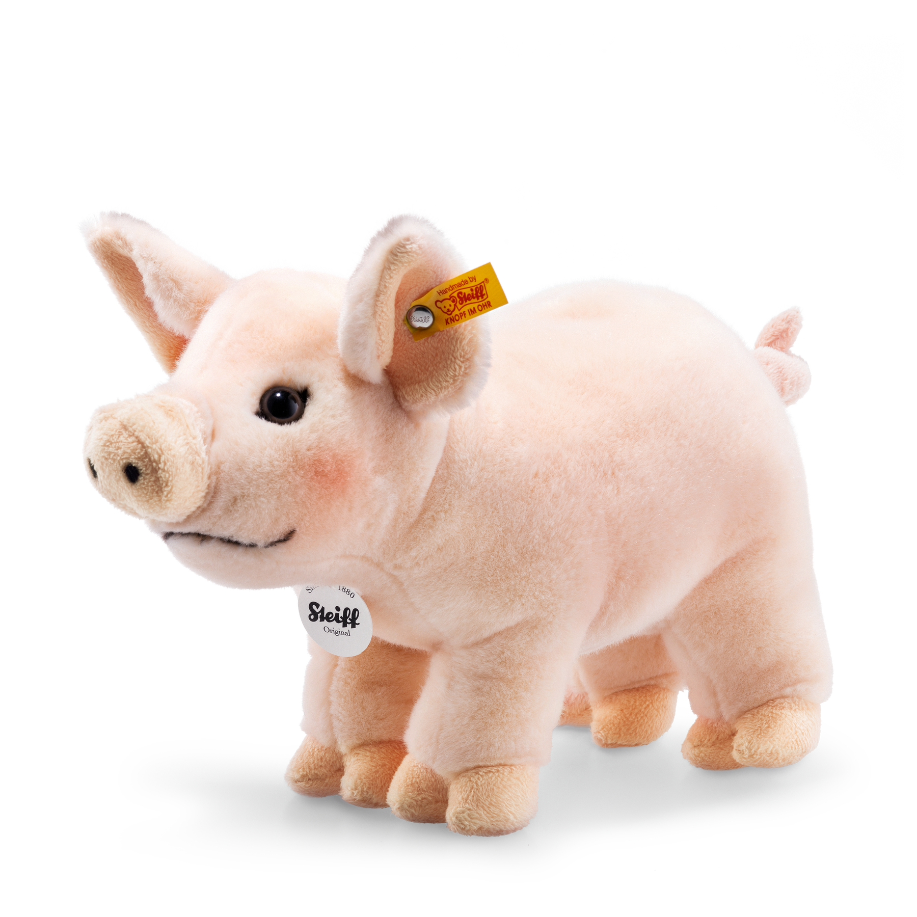 Piggy Schwein