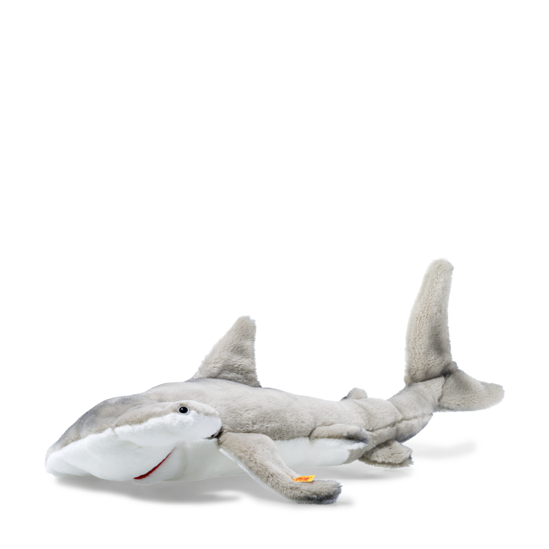 Requin marteau Sam