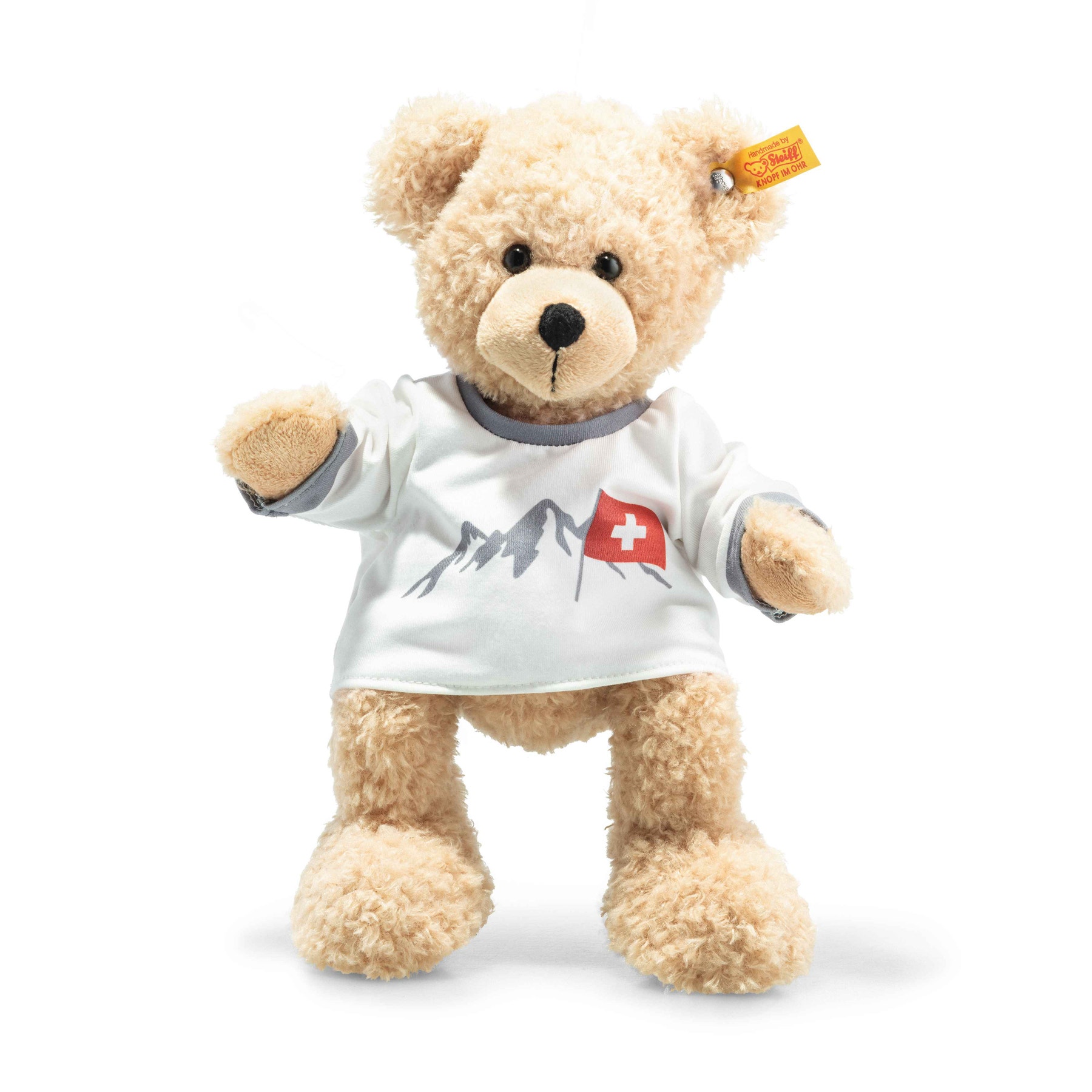 Switzerland Teddy bear