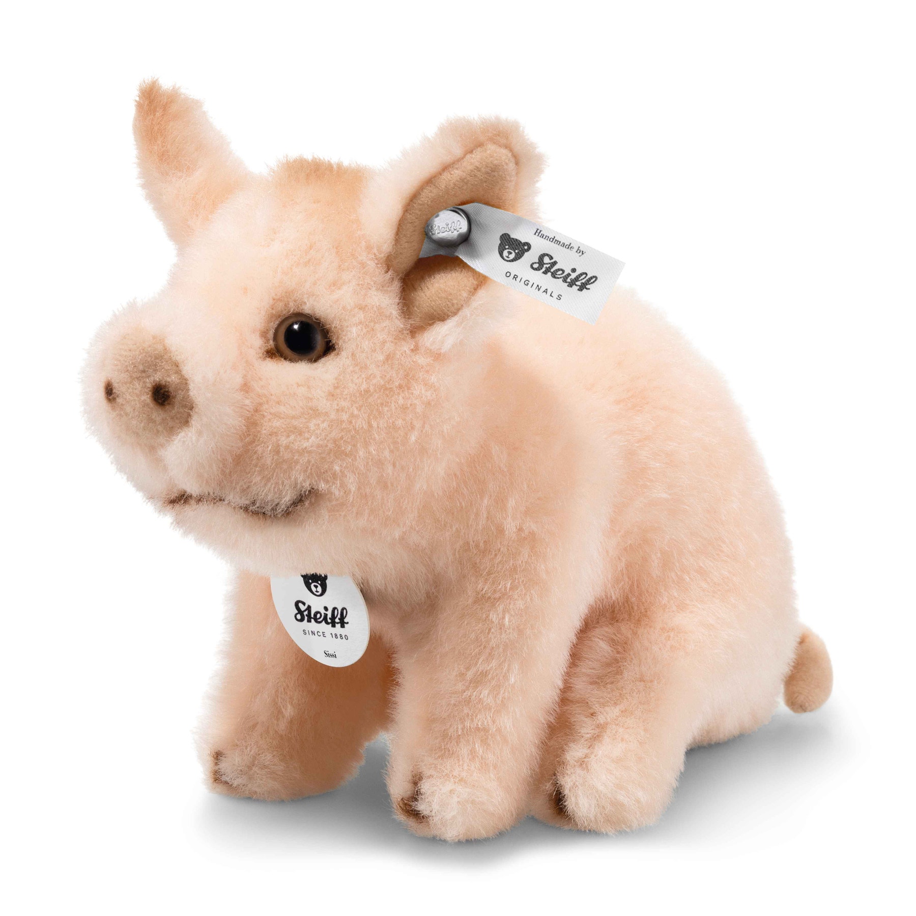 Sissi piglet