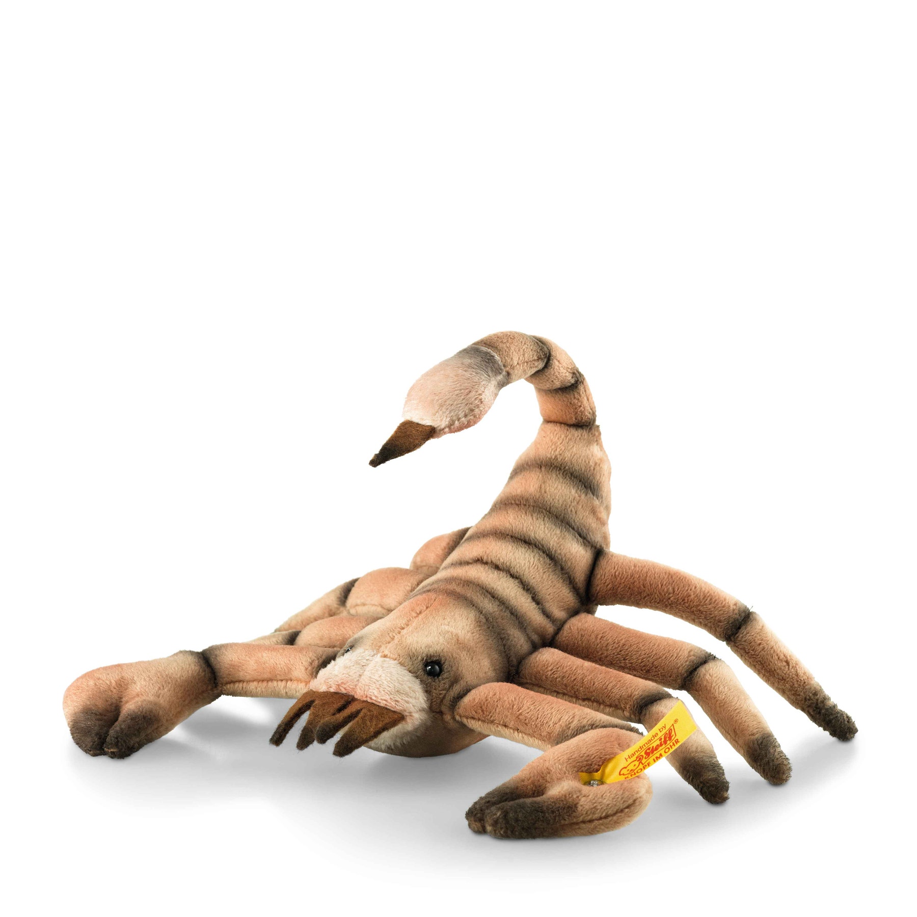 Skorpi scorpion