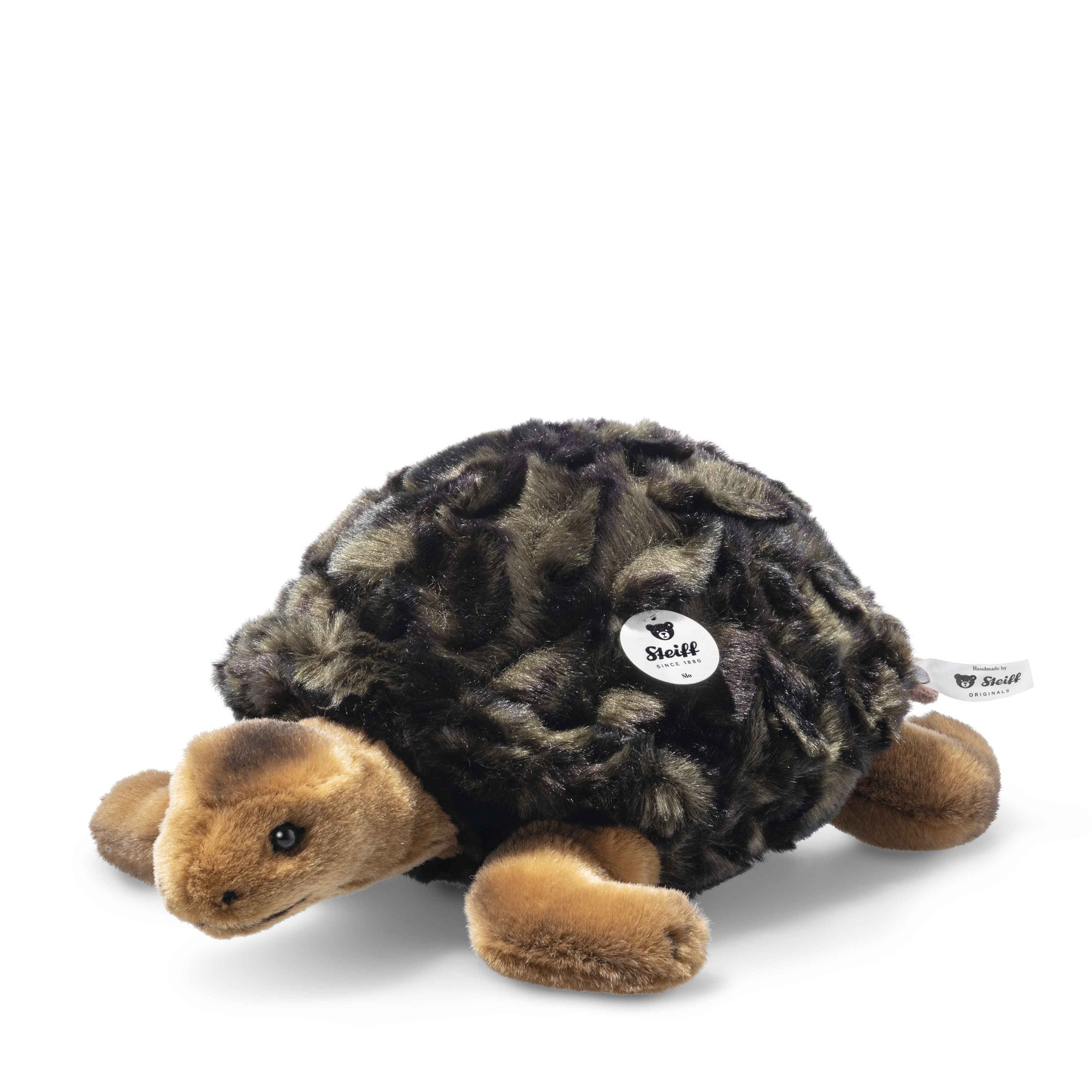 Slo tortoise