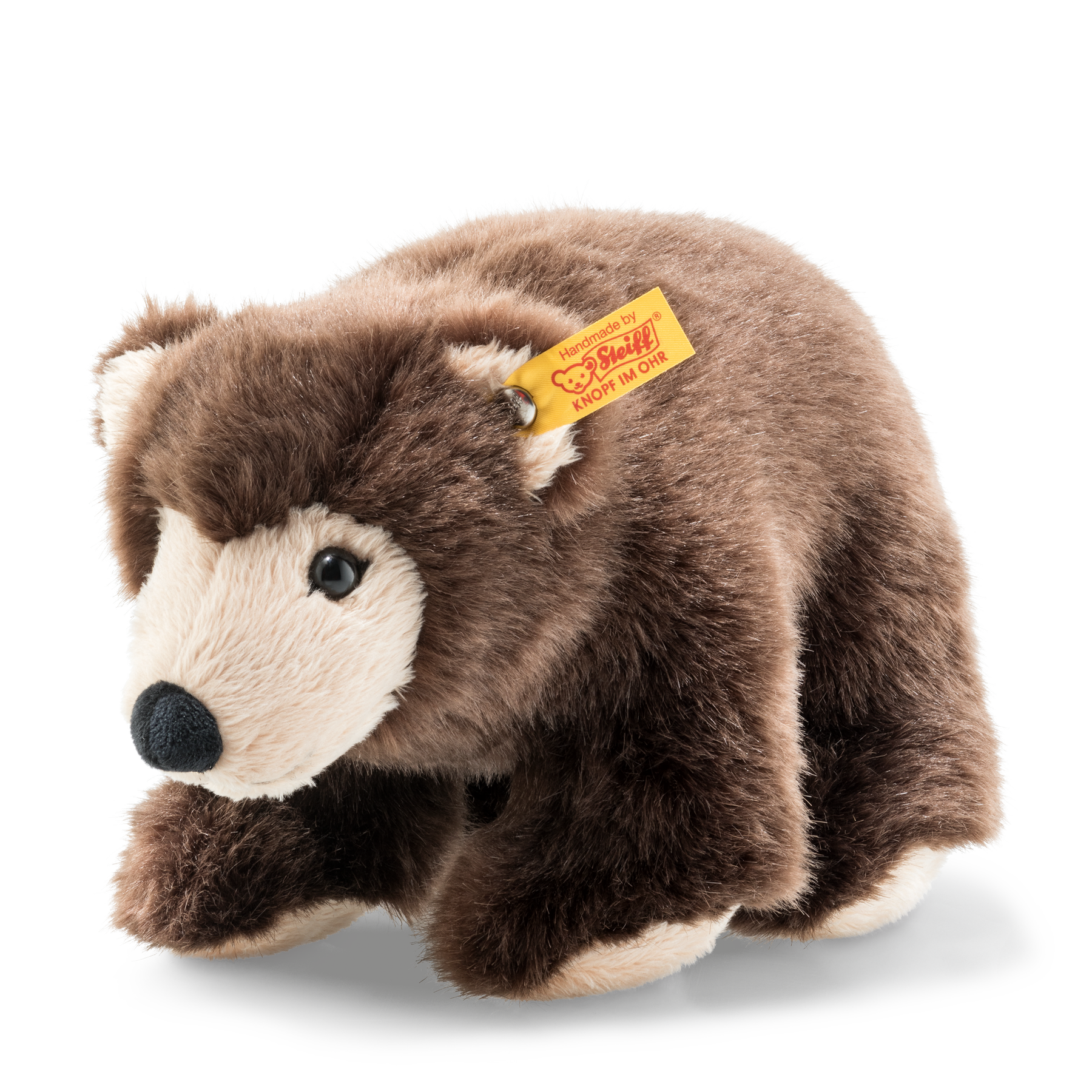 Softy brown bear