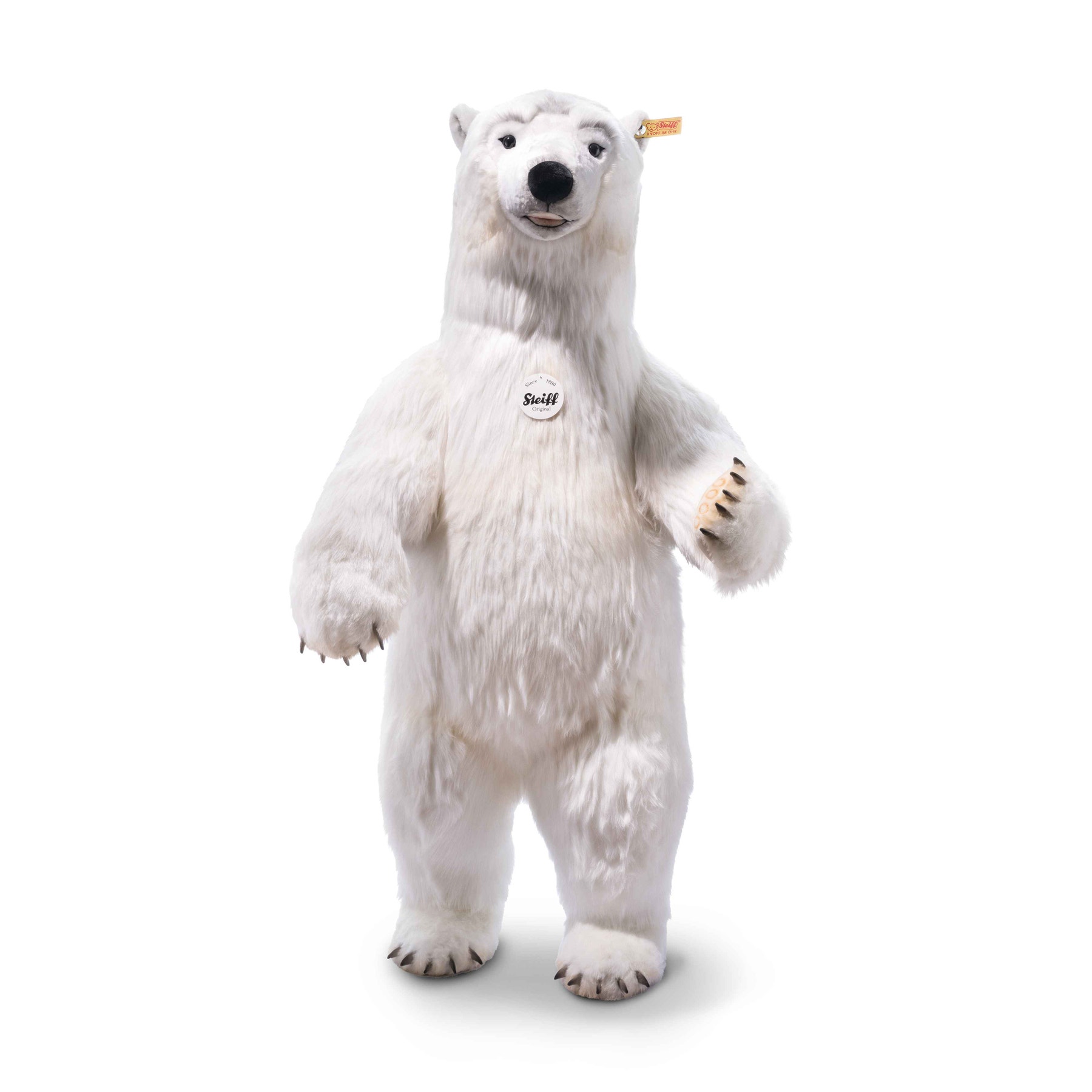 Steiff studio bear clearance