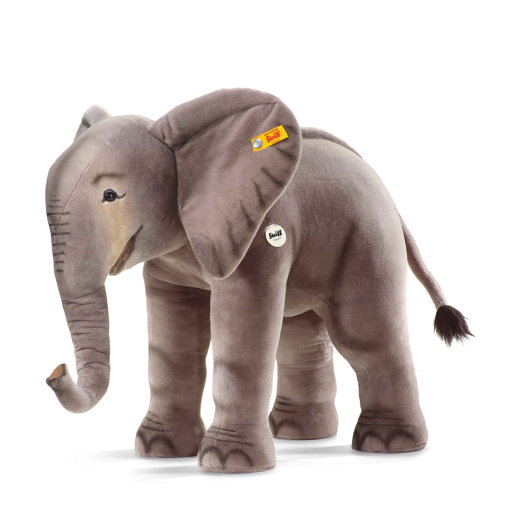 XL Studio Elephant