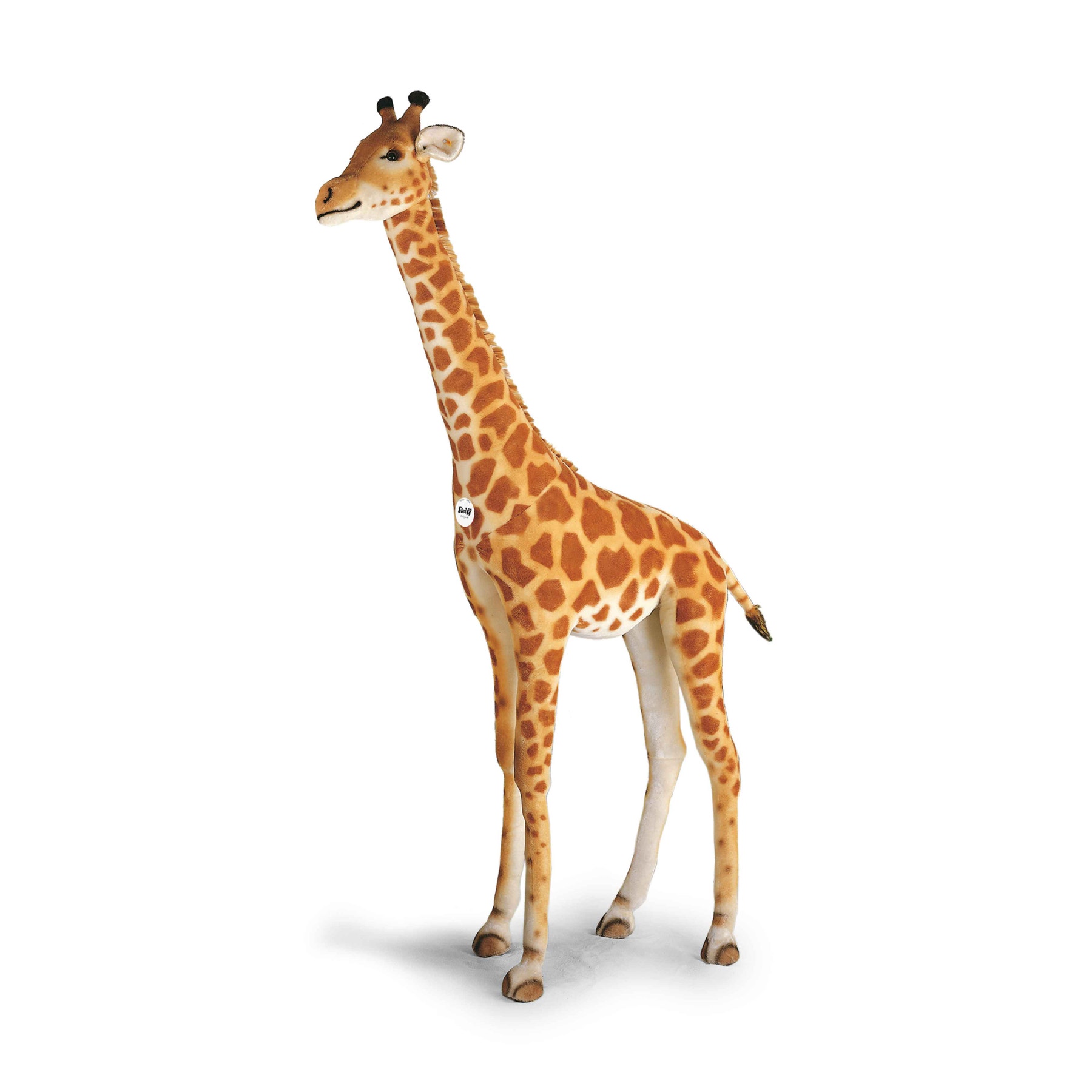 Studio Giraffe