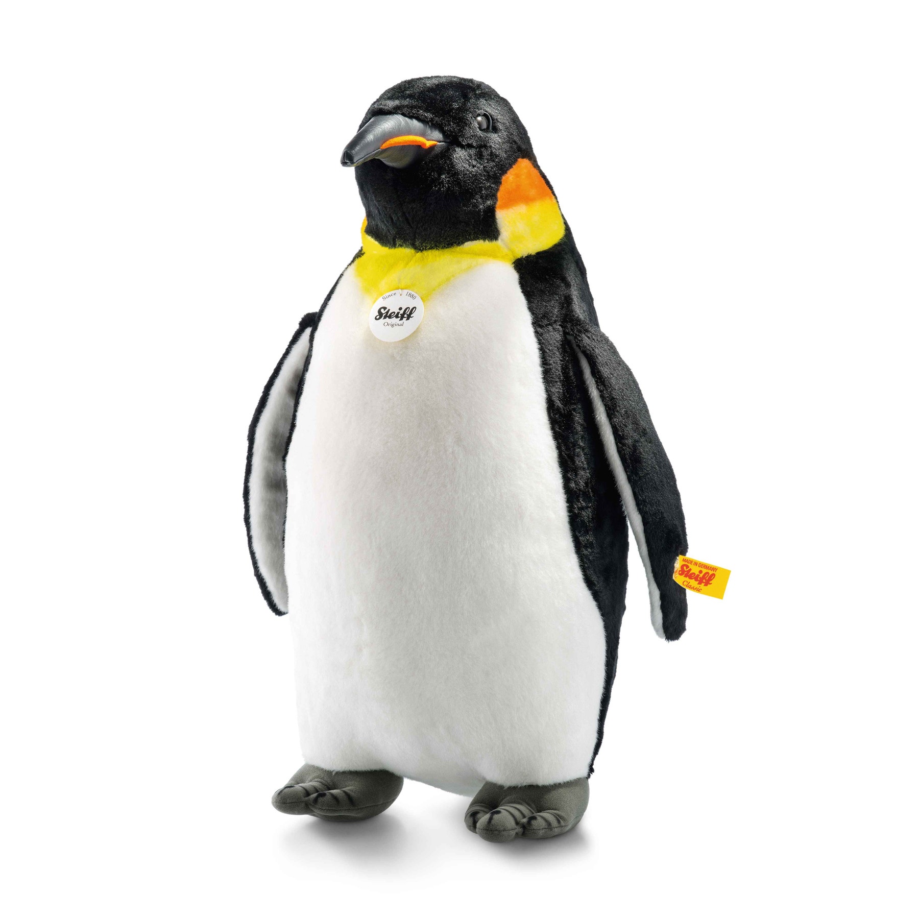 Studio king penguin