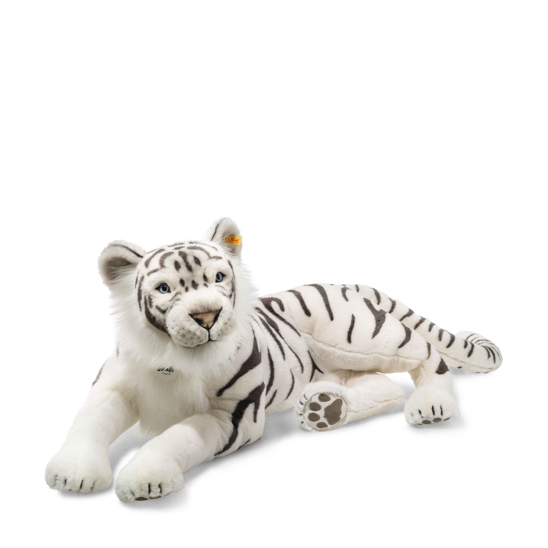 Tuhin, the white tiger