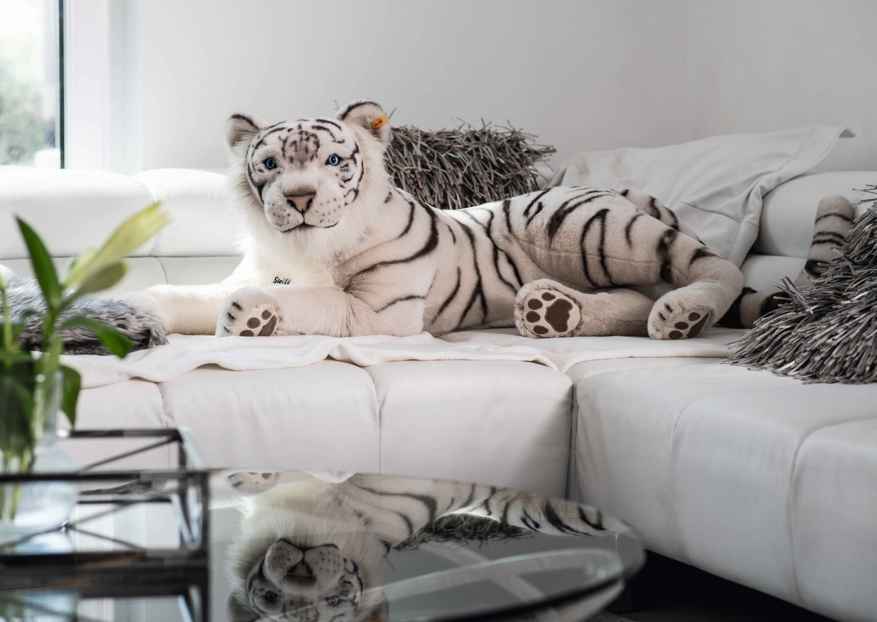 Tuhin, der weiße Tiger