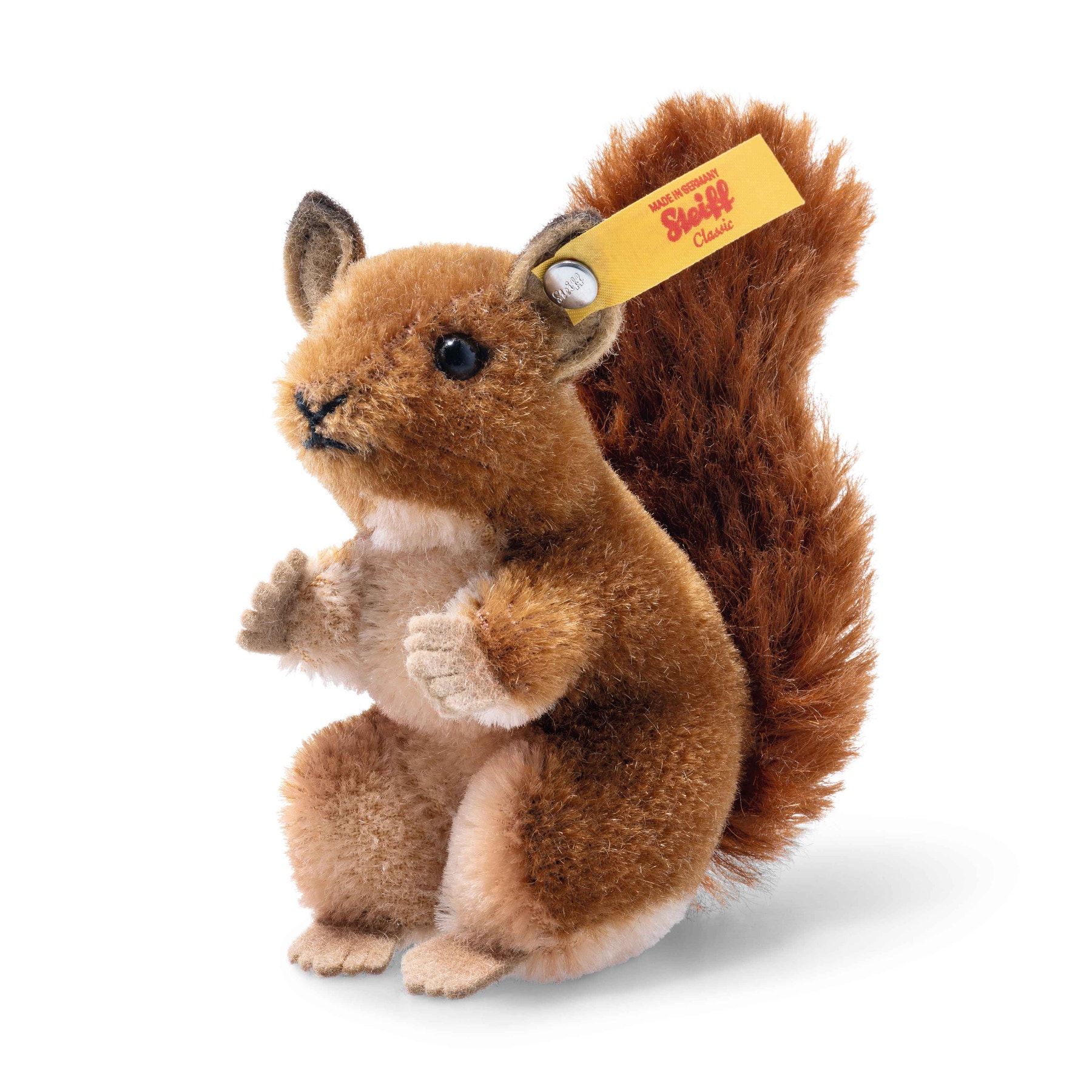 Wildlife Giftbox squirrel