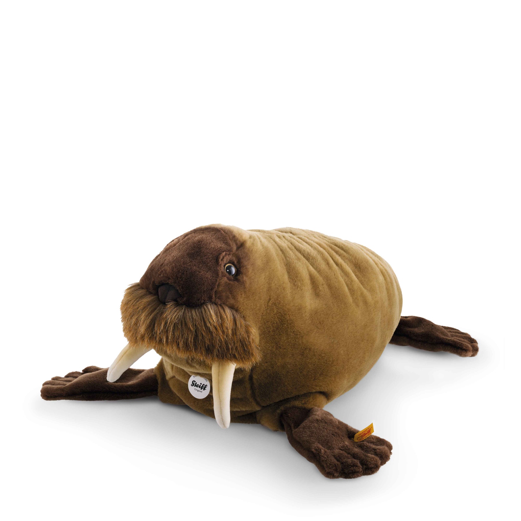 Wotan walrus