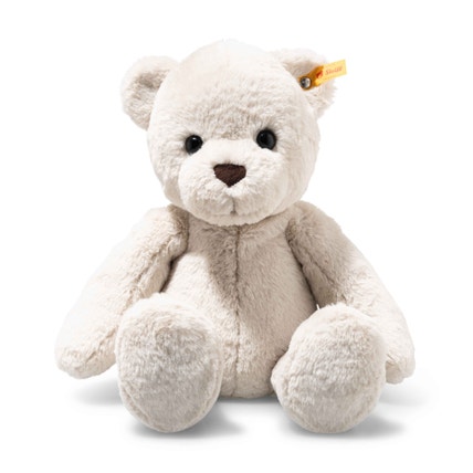 Robby Teddy bear