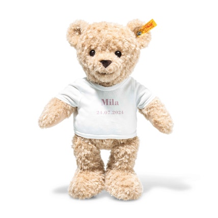 Teddy bear with personalised T-shirt
