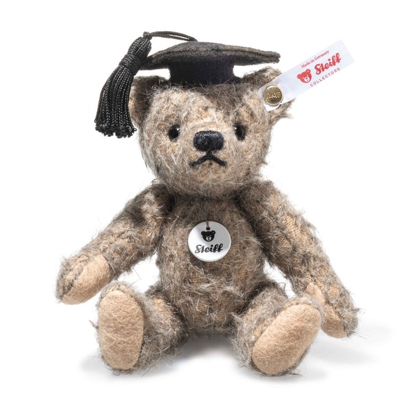 abschluss-teddybaer-675195.jpg