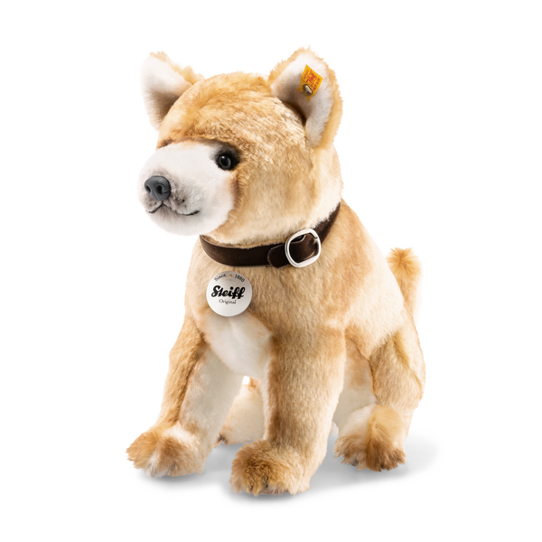 Pacco Shiba Inu Steiff Com (600 x 600 Pixel)